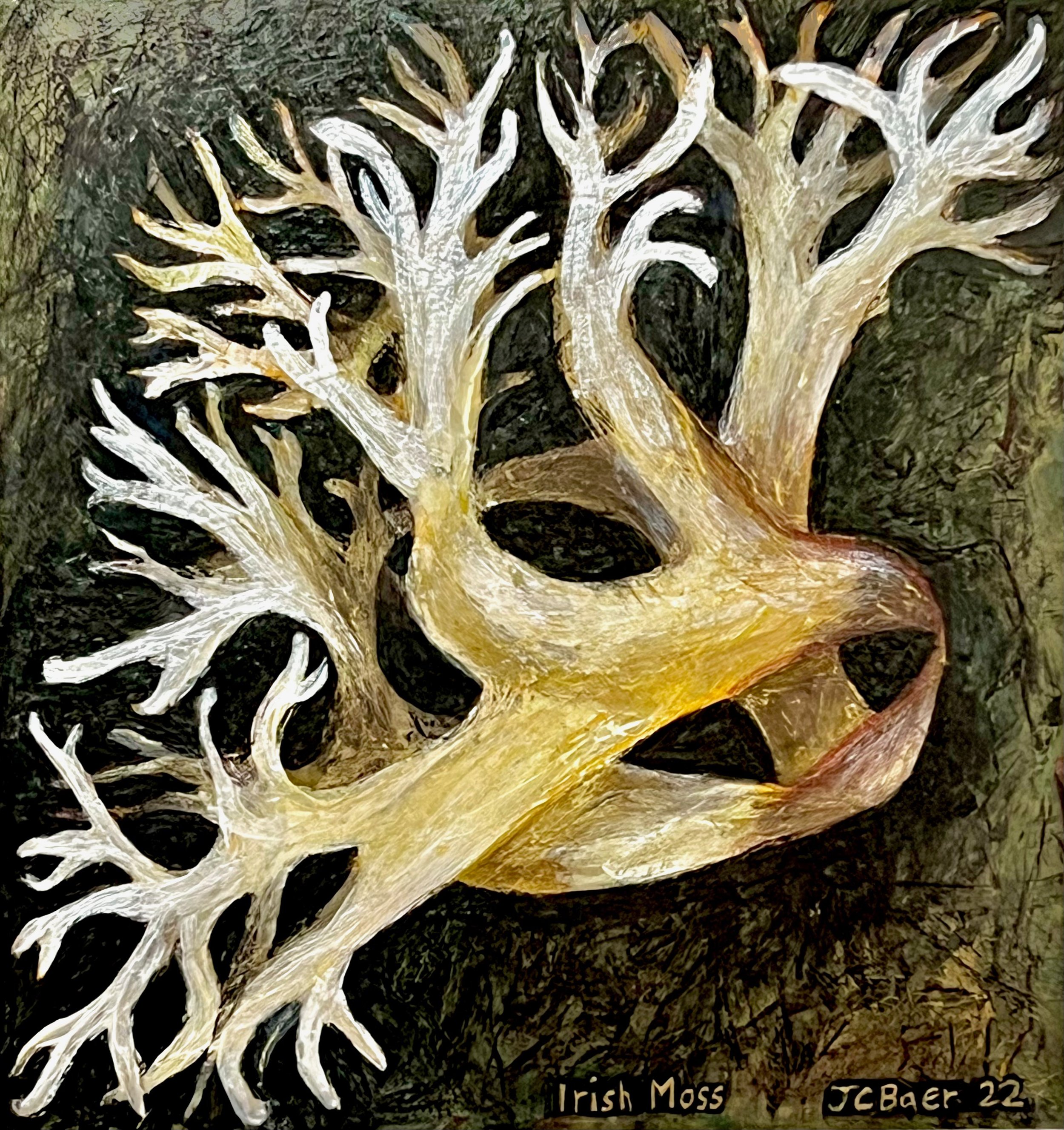 Irish Moss (Chondrus crispus,) 2022, acrylic on arches paper, 12x12”, $500