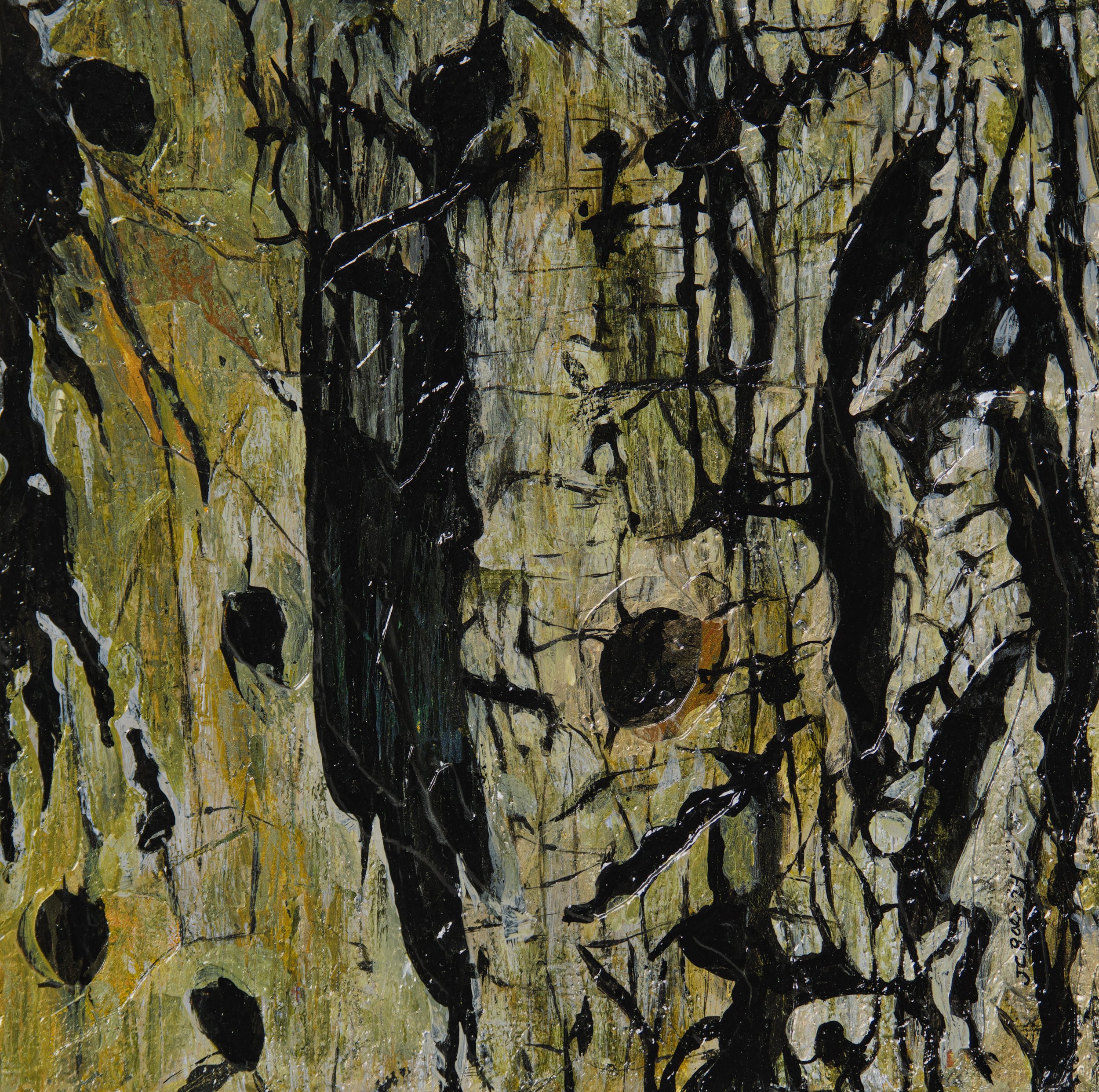 Shagbark Hickory (Carya ovata), 2024, Mixed media on wood panel, 12x12”, $800