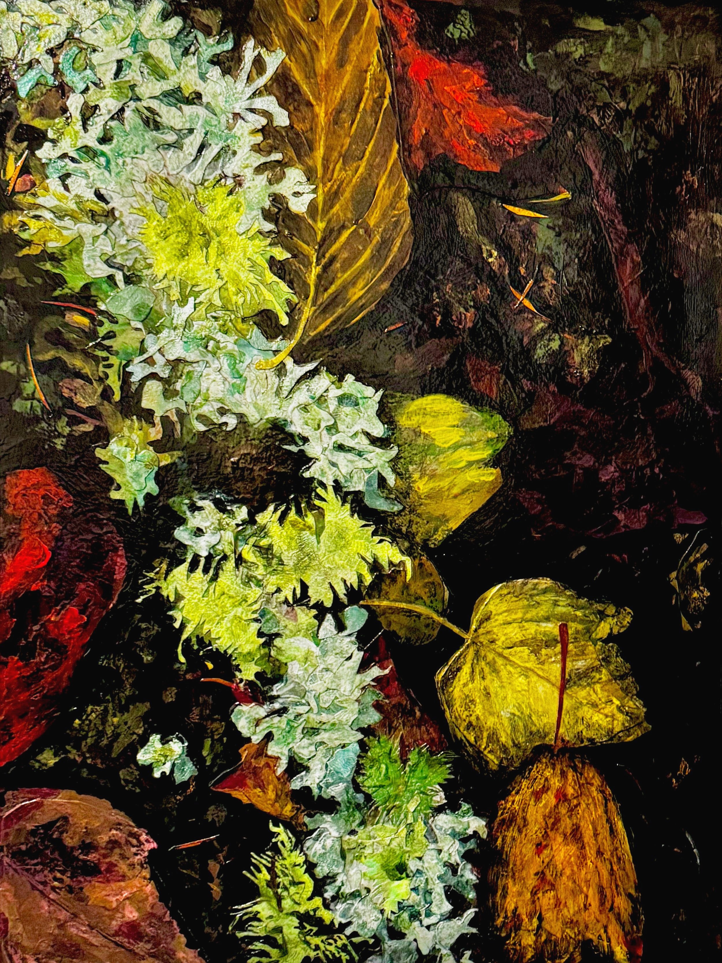 Red Alder (Alnus rubra), 2025, Mixed media on Arches paper, 30x22”, $1800