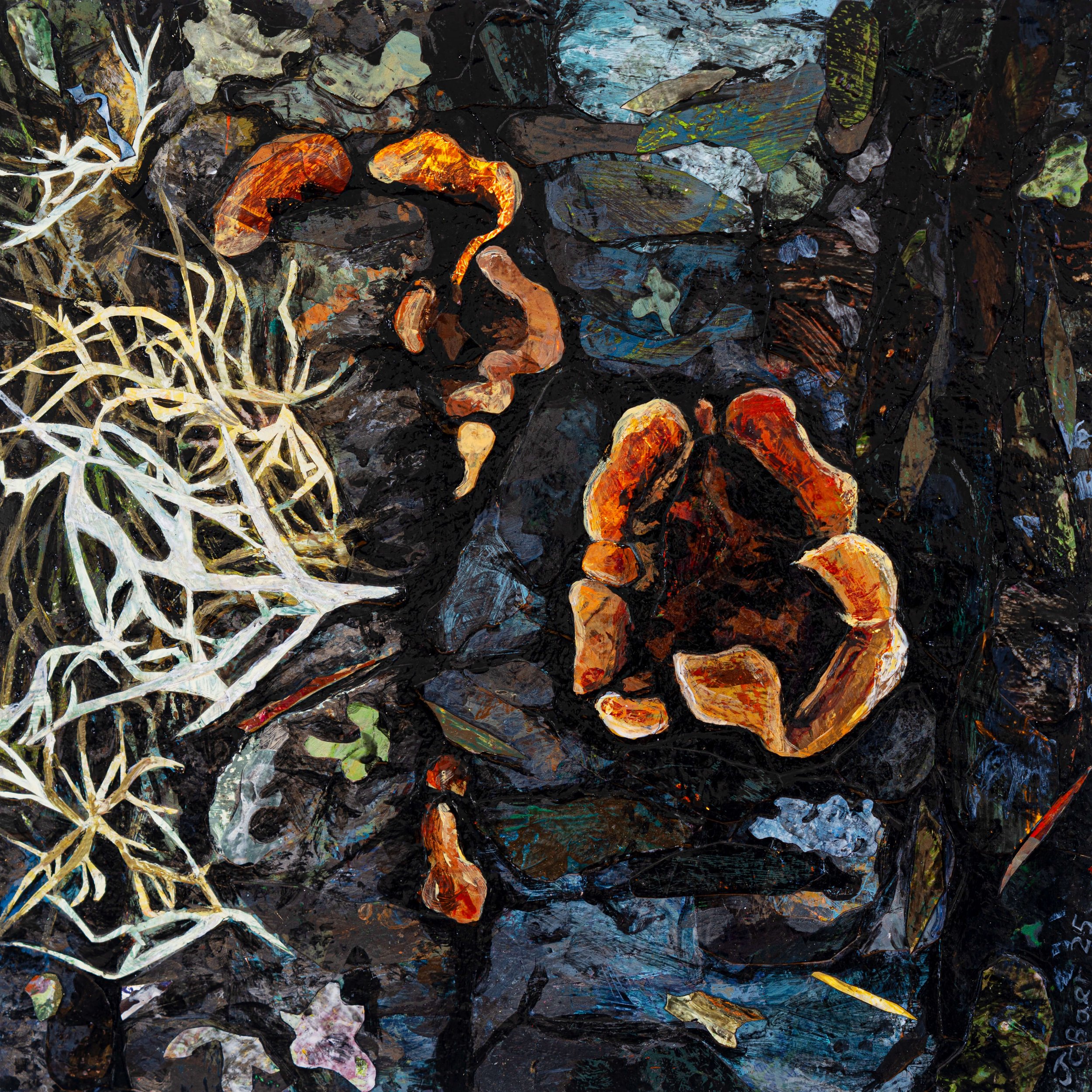 Hairy Curtain Crust (Stereum hirsutum), 2025, Mixedmedia on wood panel, 12x12x2”, $800