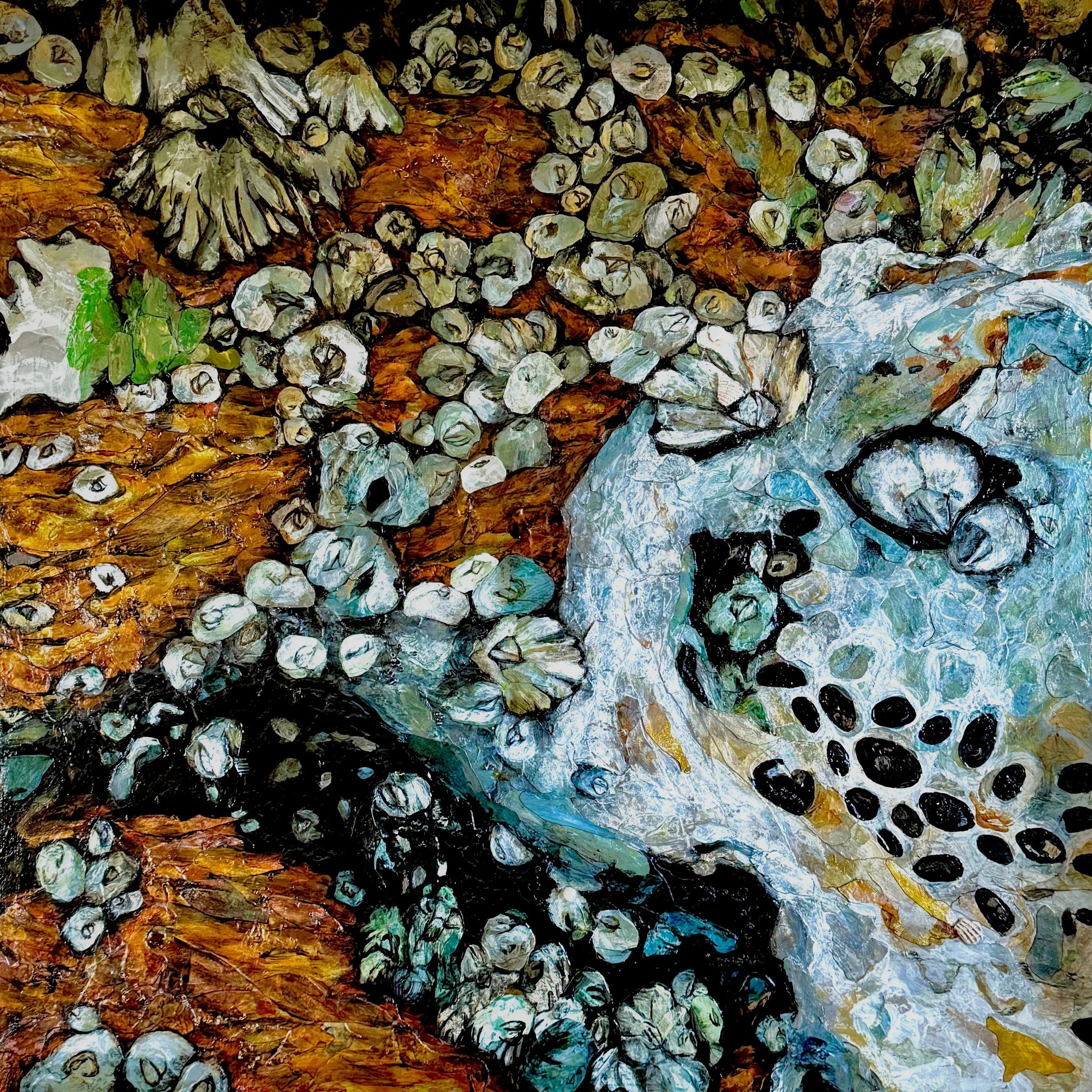 Pacific Acorn Barnacle (Balanus glandula), 2025, Mixed media on wood panel, 36x36x2”, $3000