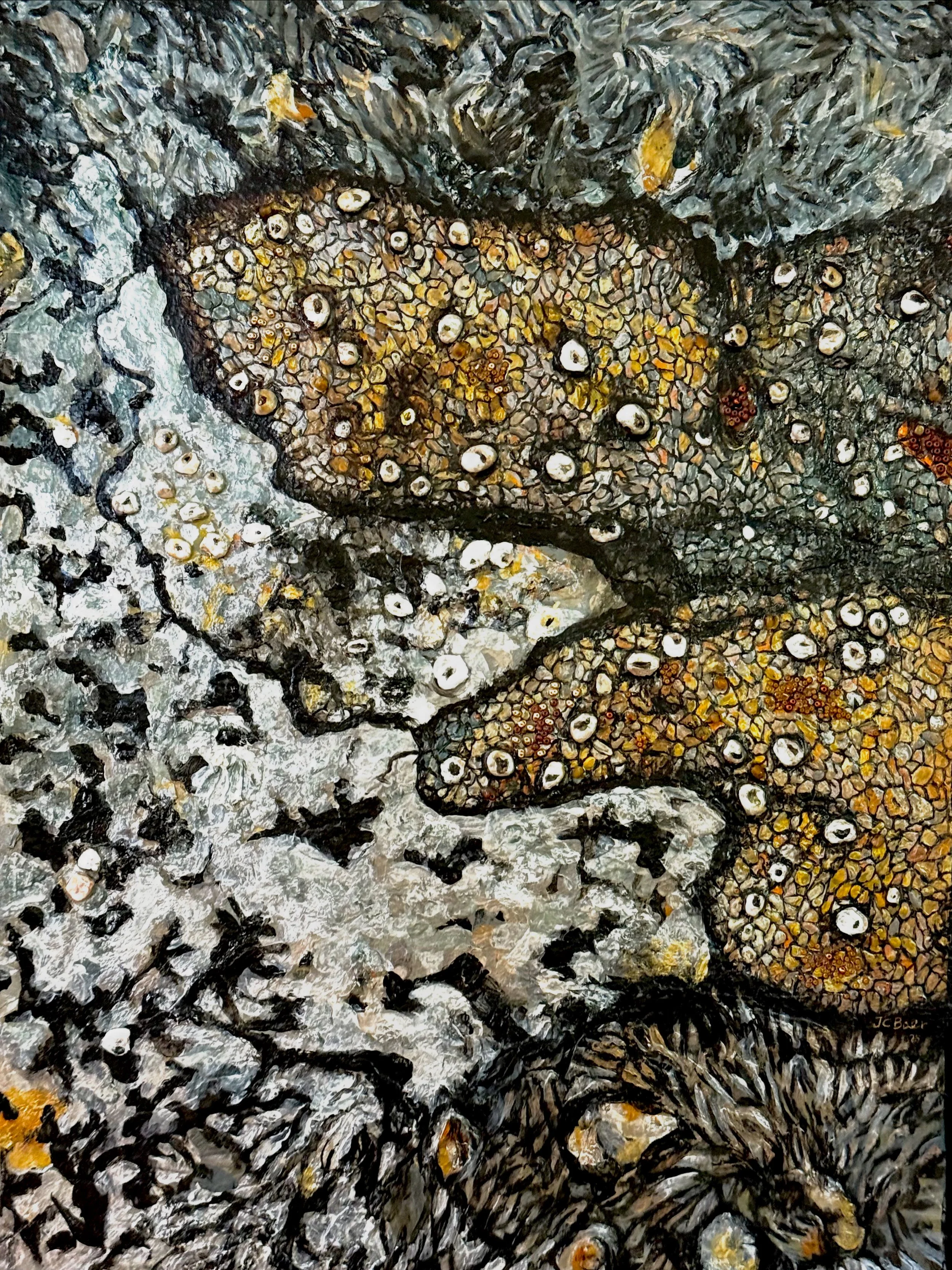 Bumpy-Rim Lichen (Lecanora hybocarpa), 2025, Mixed media on Arches paper, 30x22”, $1800
