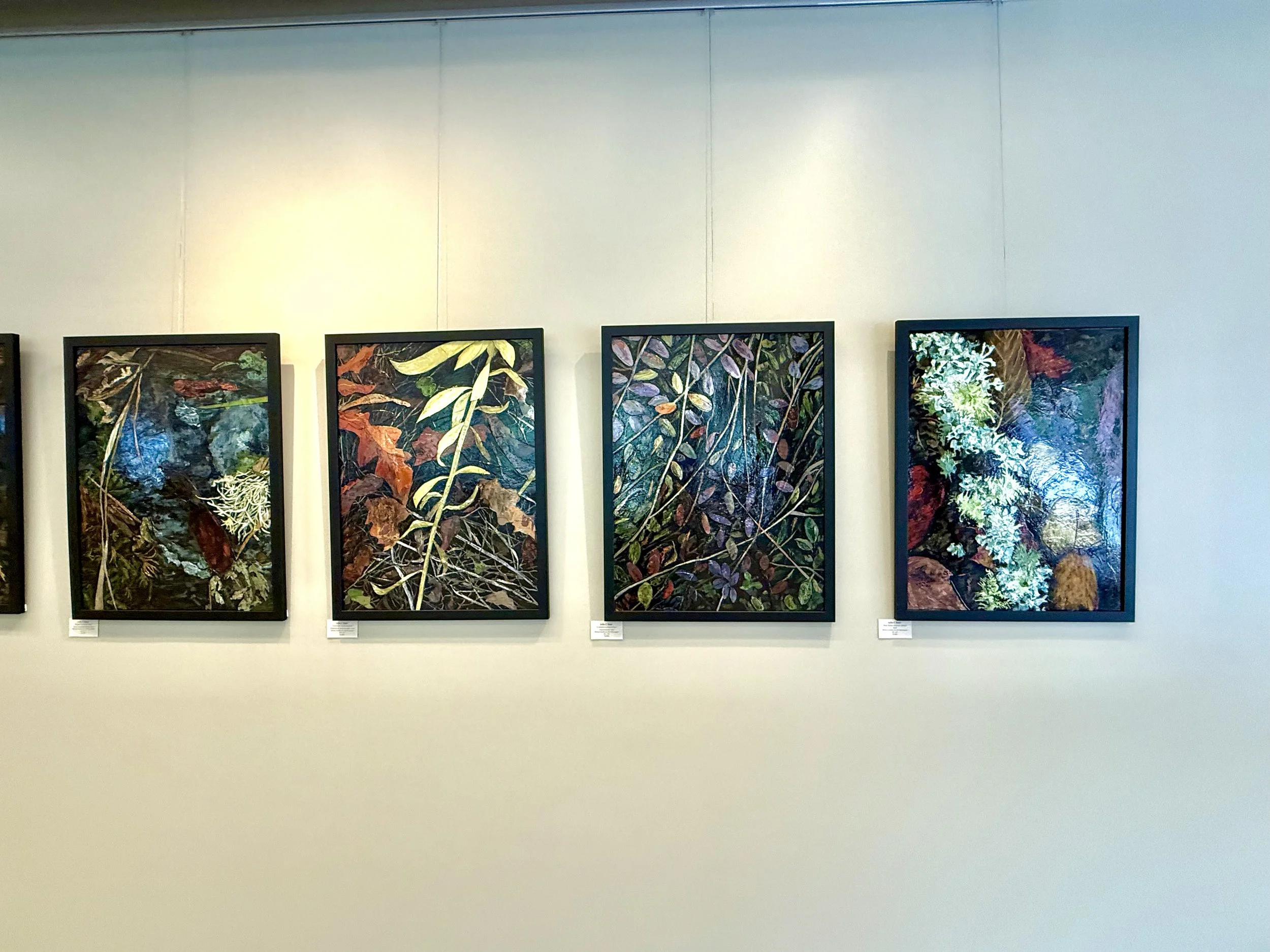 Solo show Summer 2025: Every Luminous Inch: Mixed-Media Paintings of Unsung Landscapes, Gutman Gallery, Harvard Grad Sch of Education