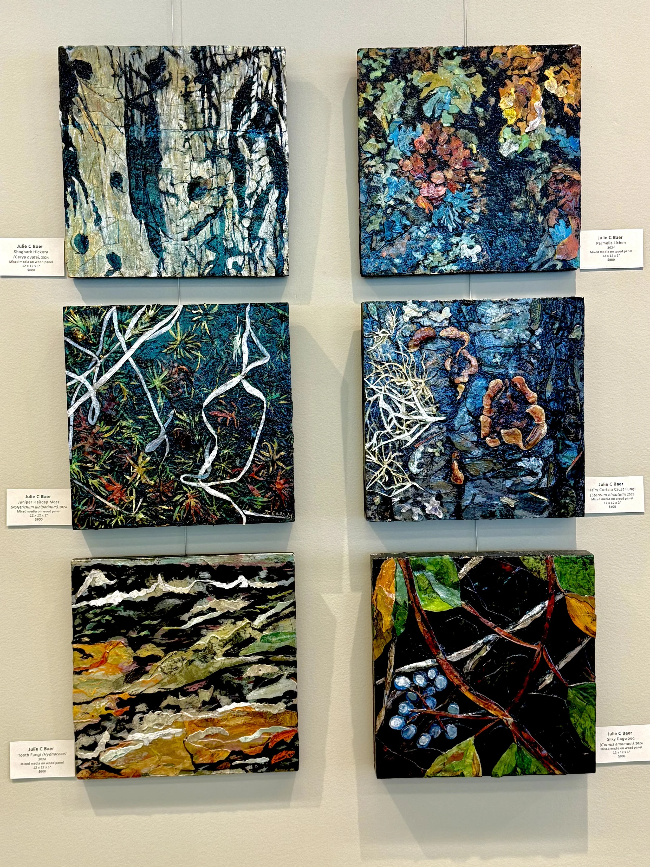 Solo show Summer 2025: Every Luminous Inch: Mixed-Media Paintings of Unsung Landscapes, Gutman Gallery, Harvard Grad Sch of Education