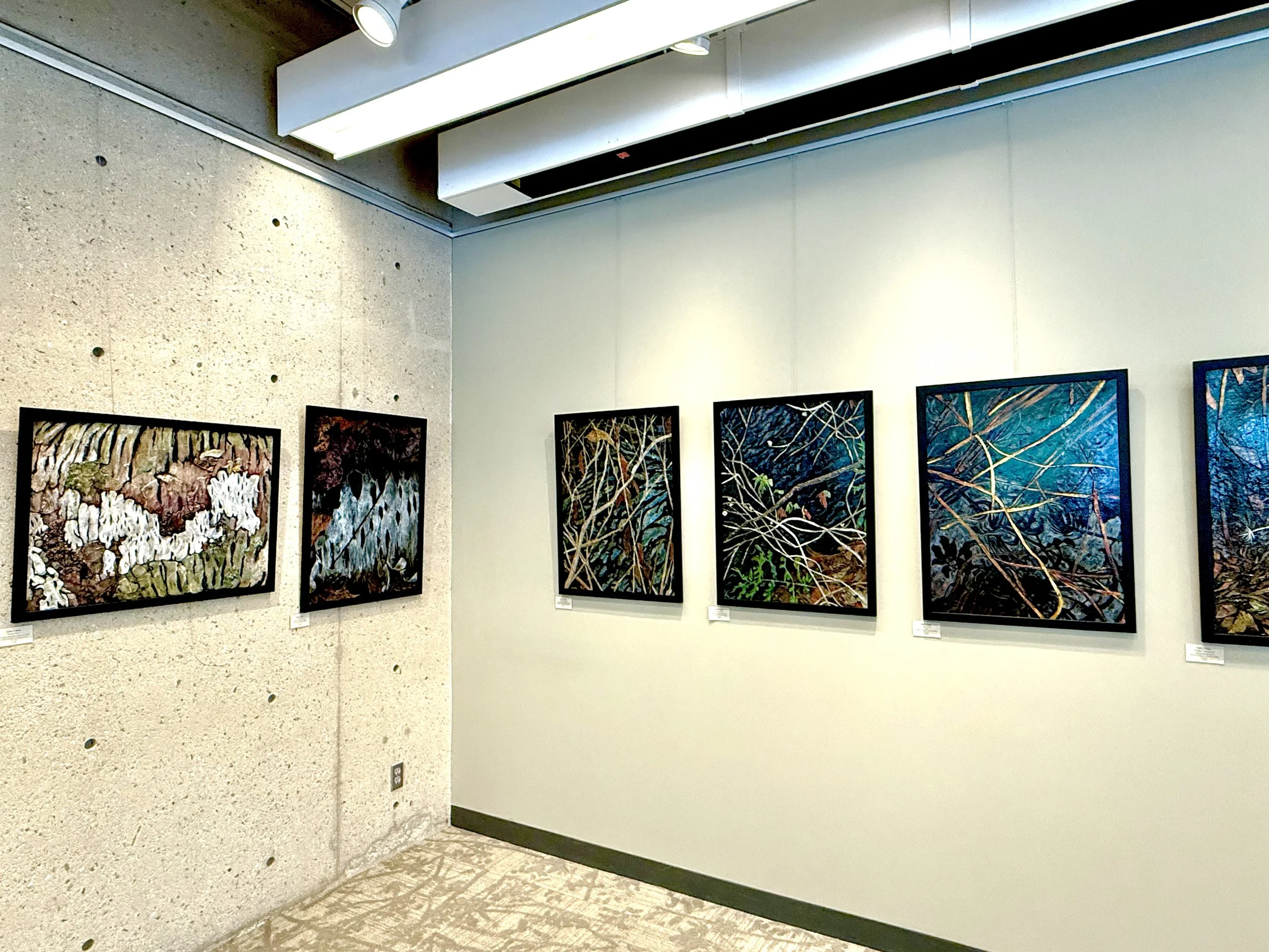 Solo show Summer 2025: Every Luminous Inch: Mixed-Media Paintings of Unsung Landscapes, Gutman Gallery, Harvard Grad Sch of Education