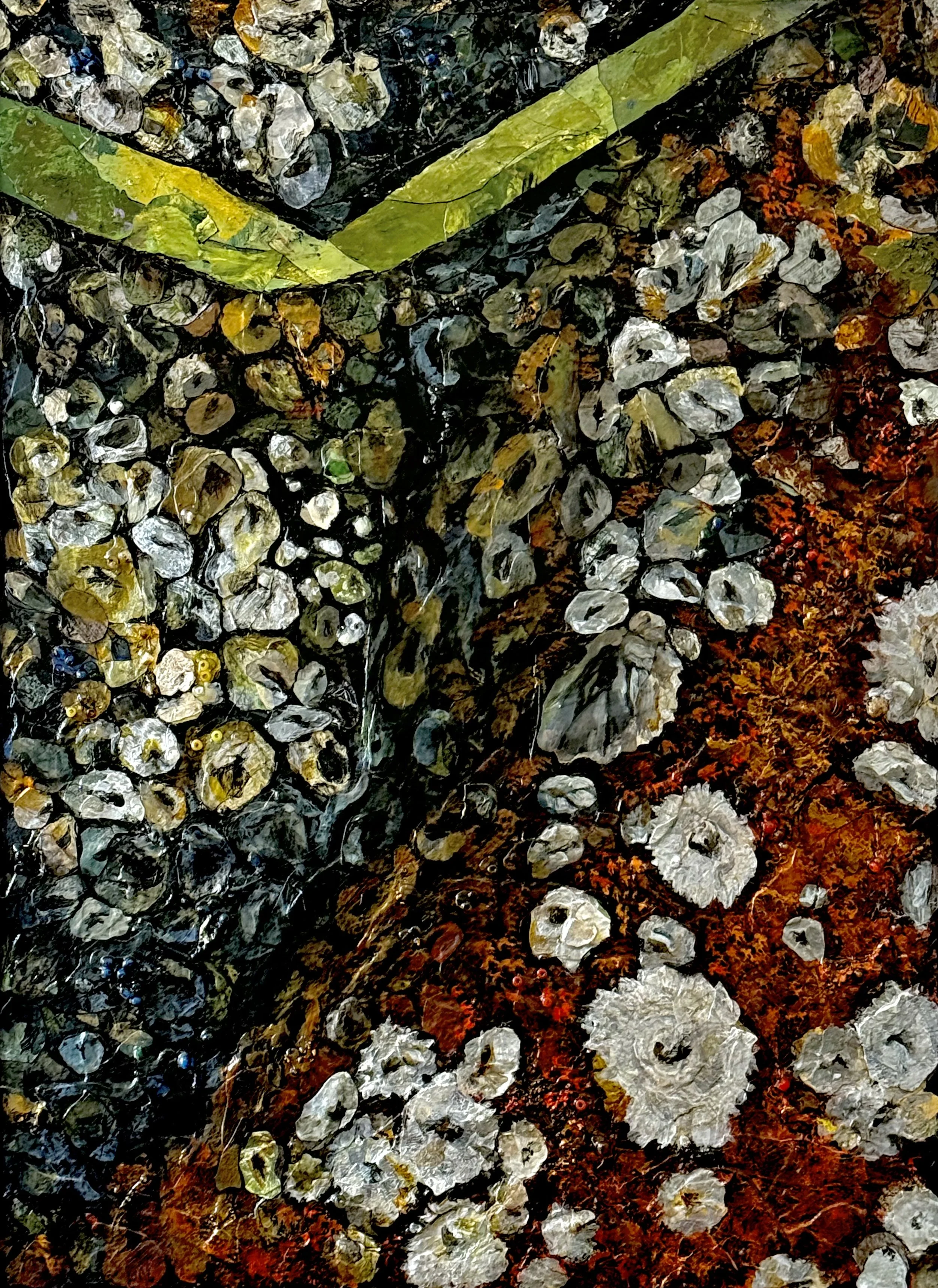 Pacific Acorn Barnacle Red (Balanus glandula), 2025, Mixed media on wood panel, 30x22”, $2800 