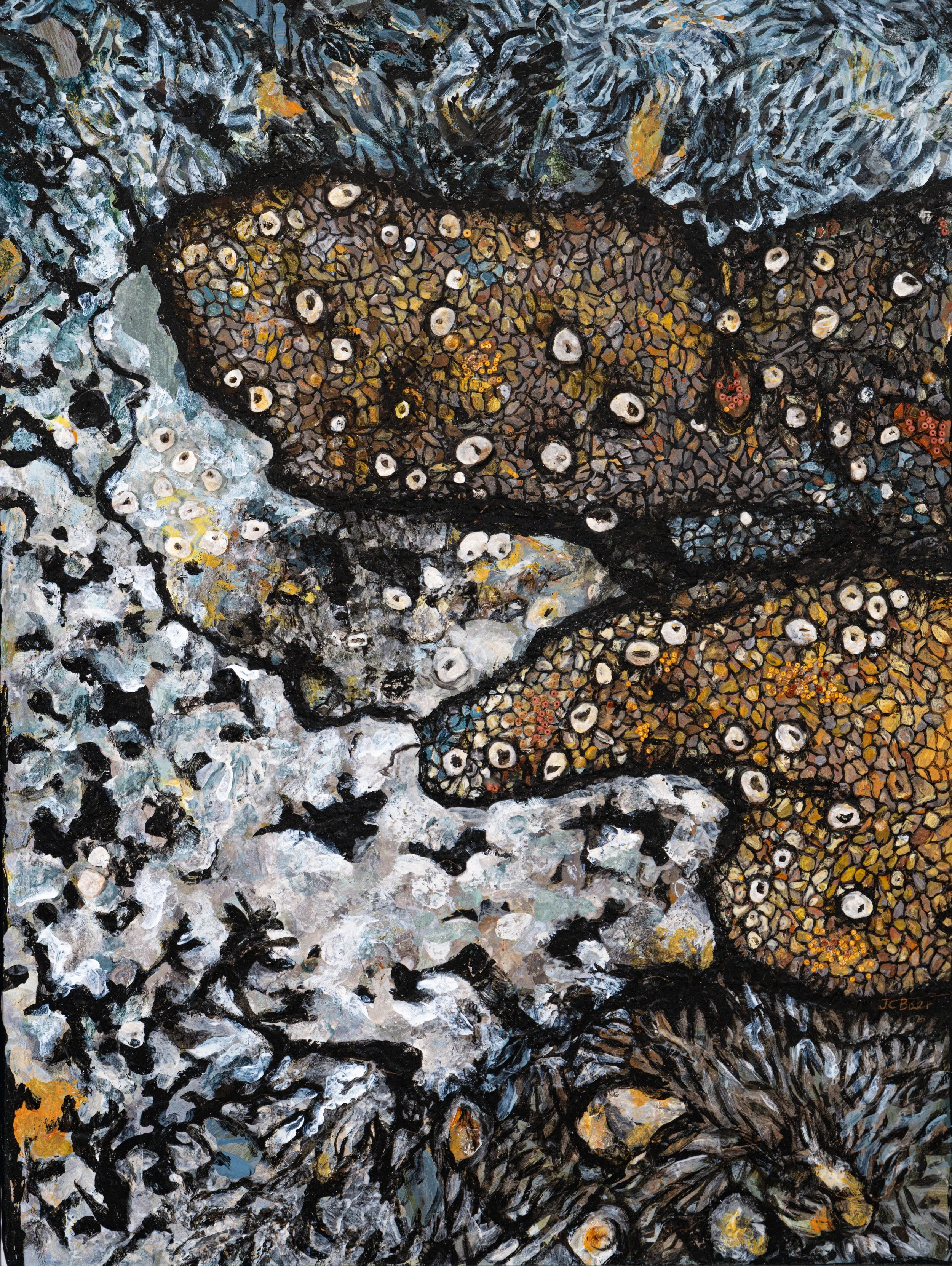 Bumpy-Rim Lichen (Lecanora hybocarpa), 2025, Mixed media on Arches paper, 30x22”, $1800