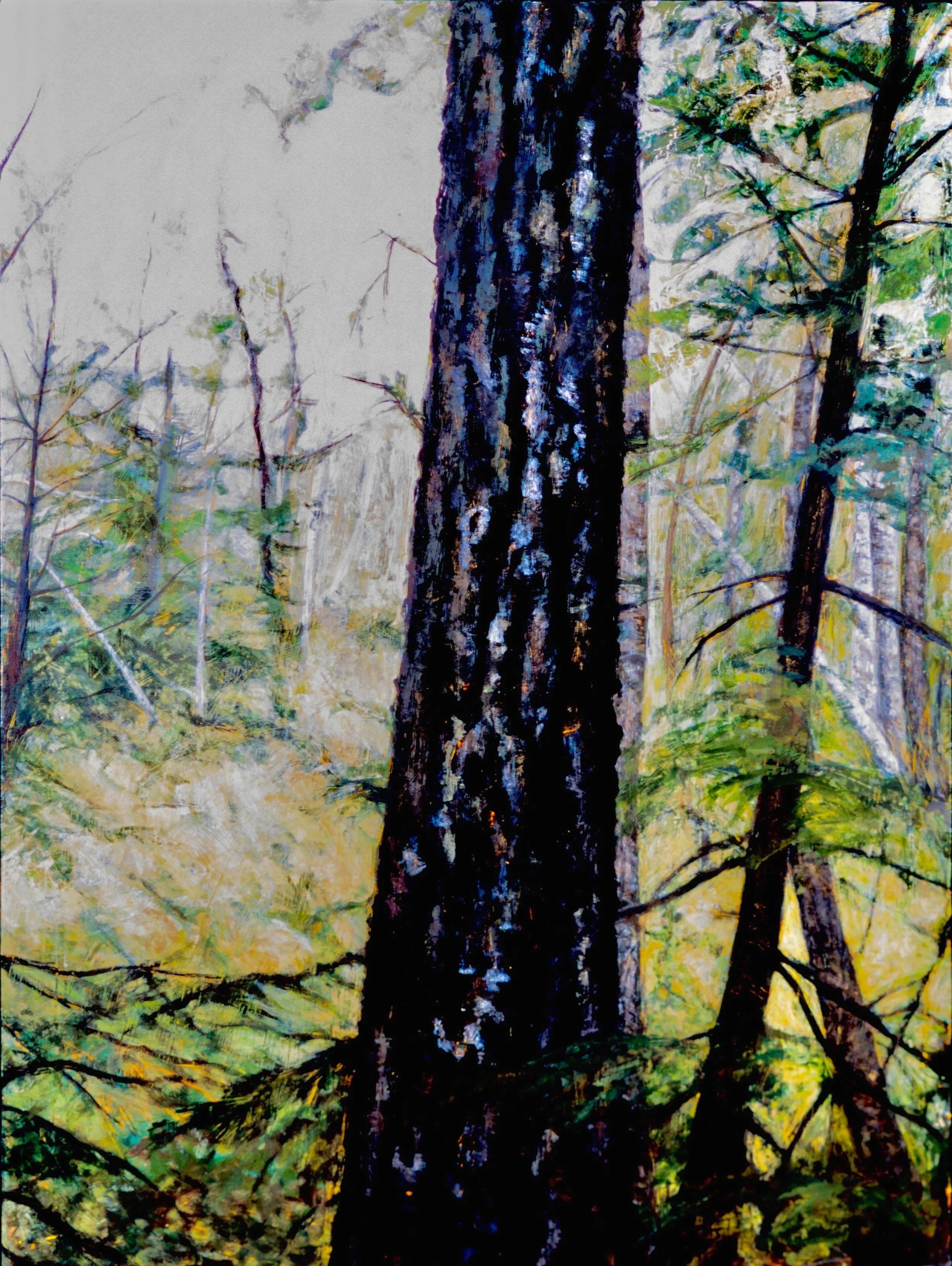 Inner Island, ME, 2001, 48 x 36 x 1”, acrylic on wood panel, $5000