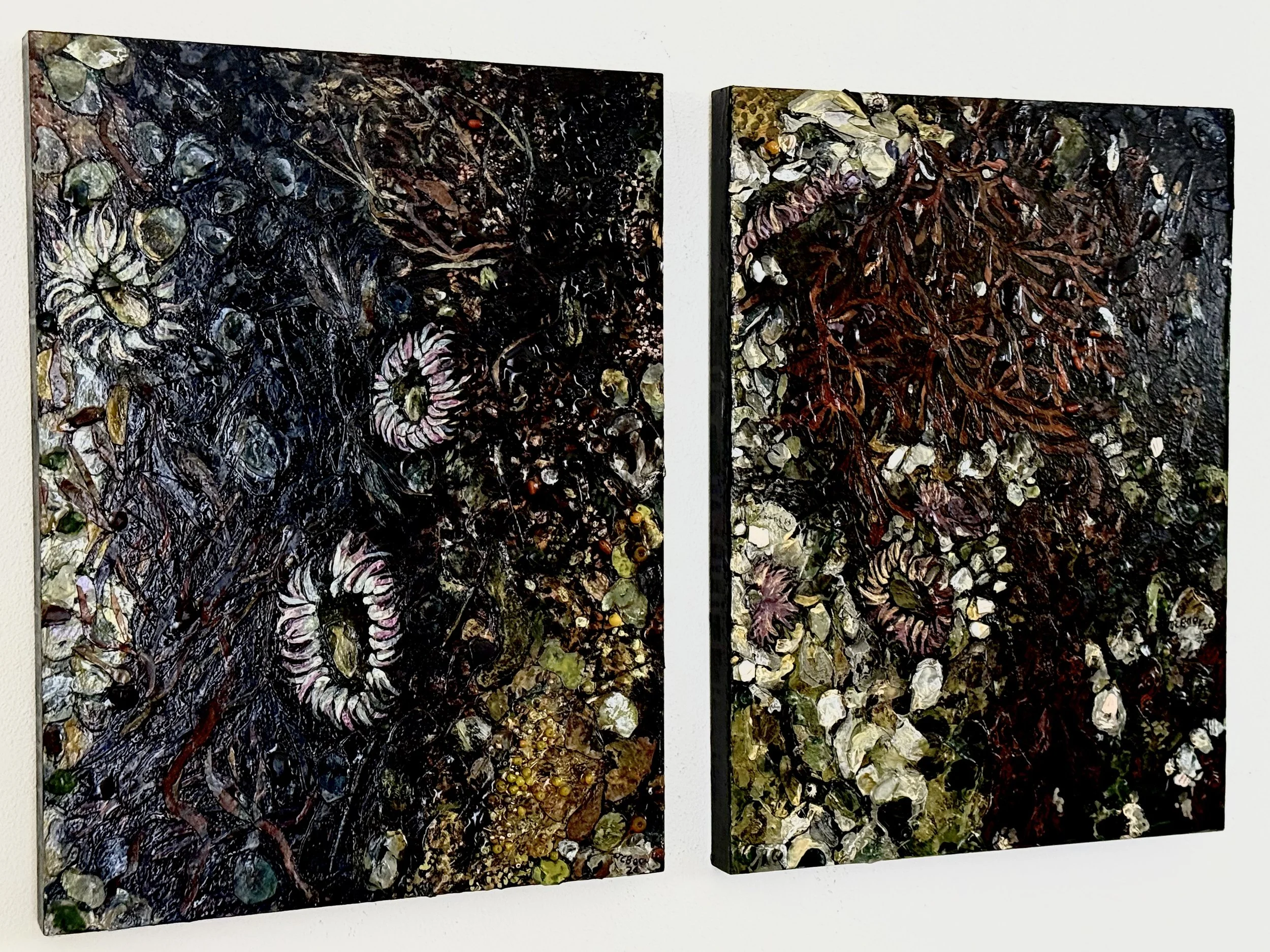 Aggregating Anemone (Anthopleura elegantissima), 2026, Mixed media (oil, acrylic, paper, sea glass, glass beads) on wood panel, diptych, overall 24x36x1” $4000