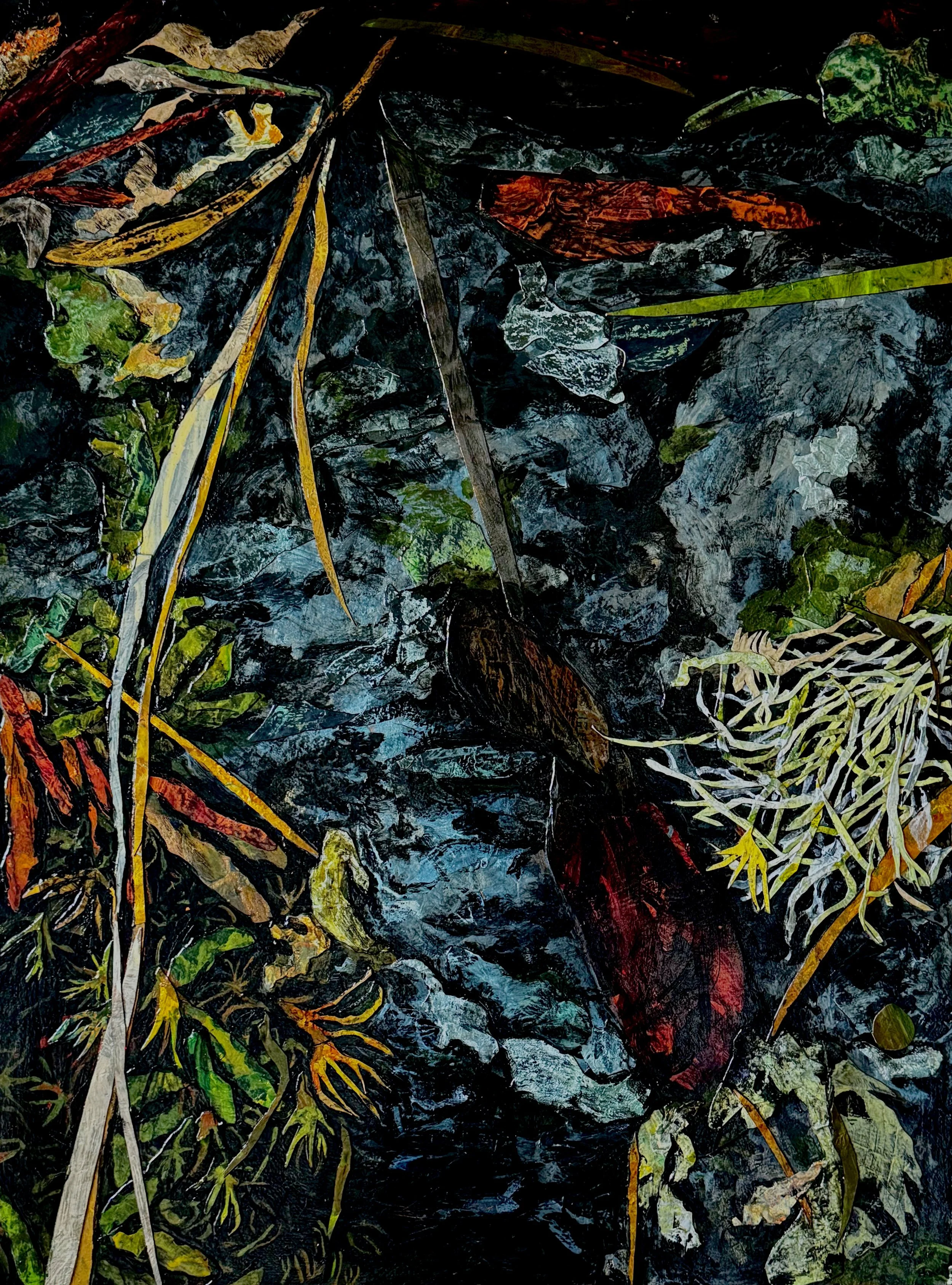 Bigleaf Maple Seed ip.jpeg