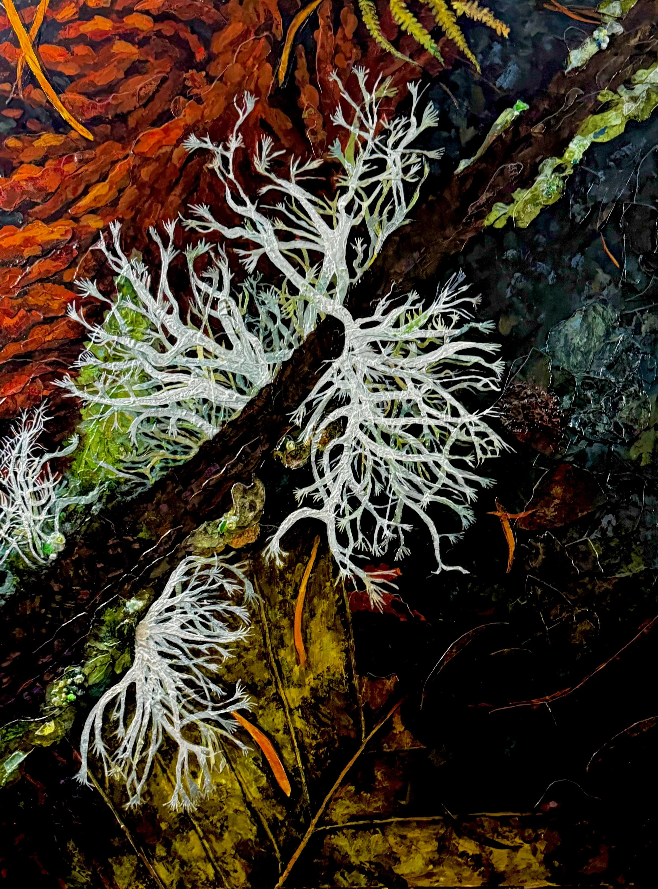 Western Red Cedar ip.jpeg