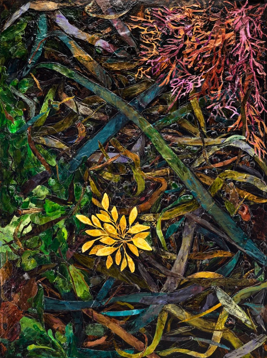 JulieBaer_WRACK1_sm.jpg