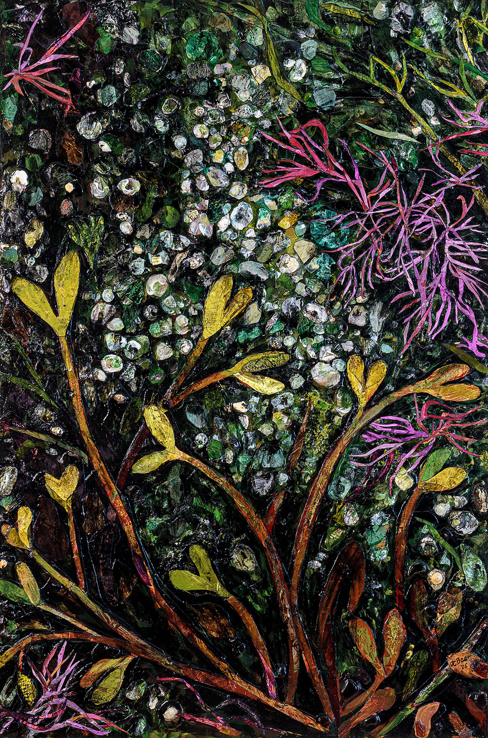 Baer Succulent Seaweed (Sarcodiotheca gaudichaudii).jpg