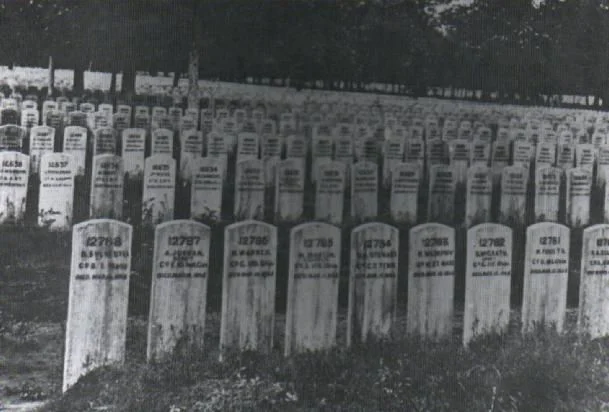 Turning the “Gate of Hell” into the “Gate of Heaven”: The Secret Andersonville Death Roll of Dorence Atwater