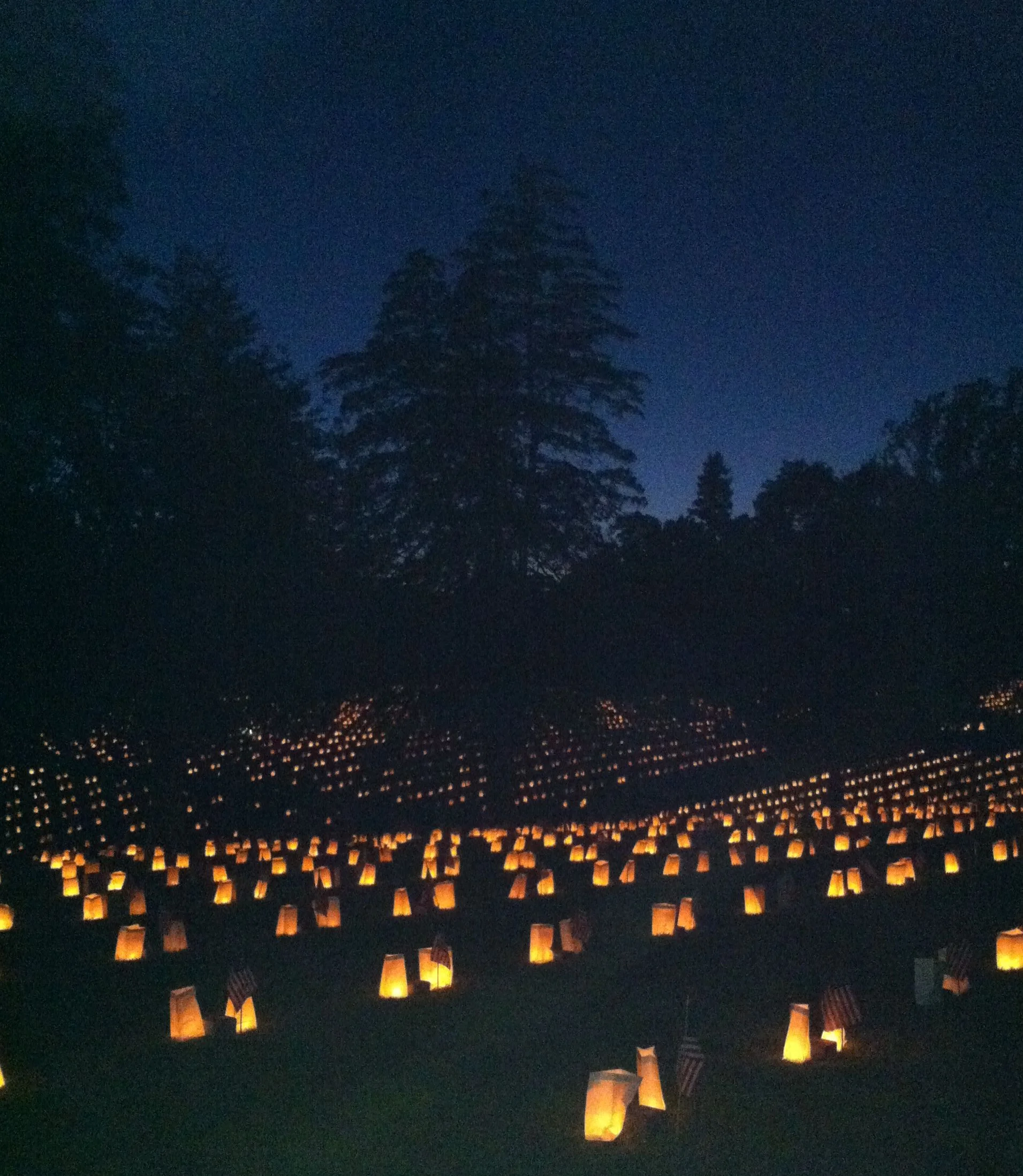 Secrets of a Cemetery, Part VIII: Final Reflections