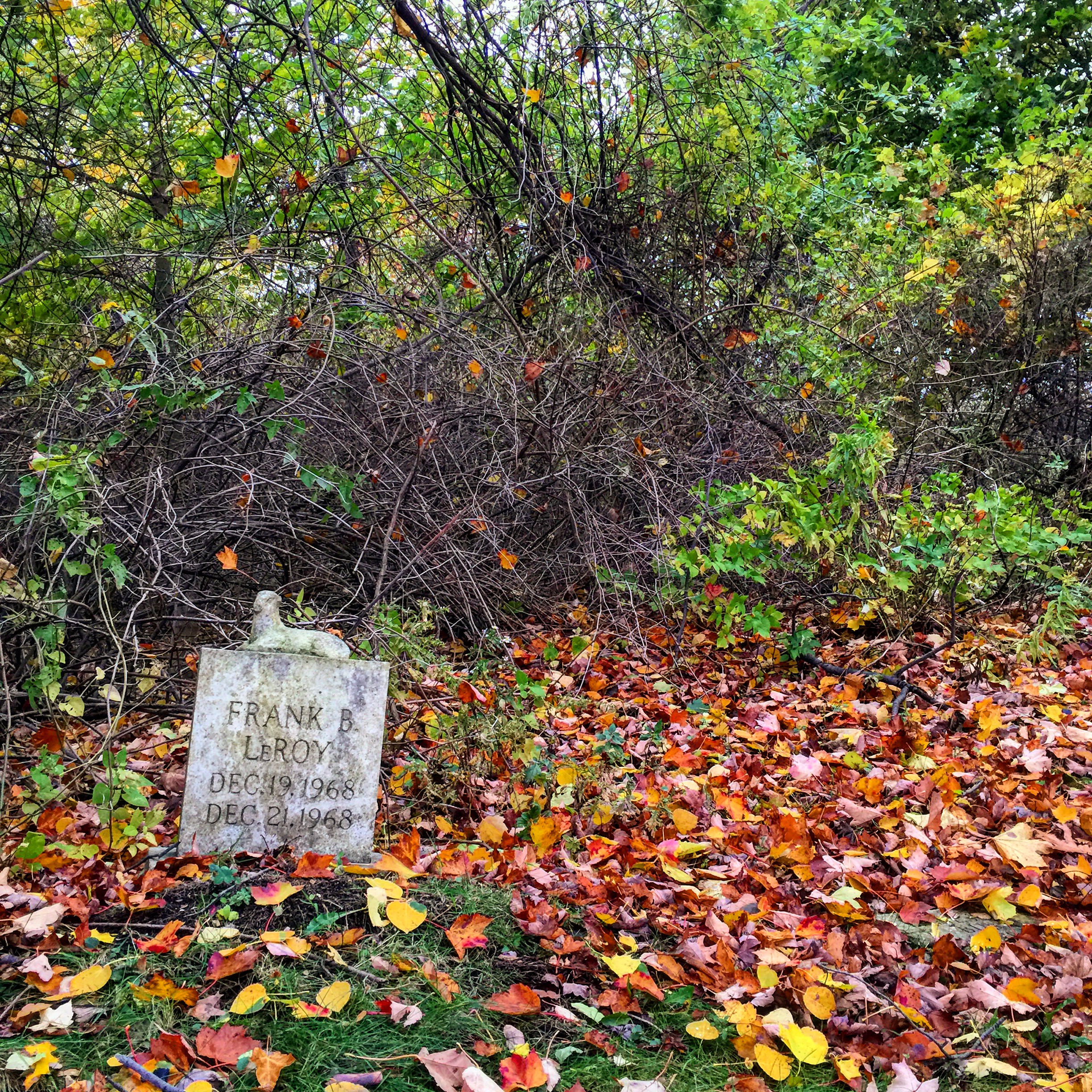 2015-10-29 16.54.14.jpg