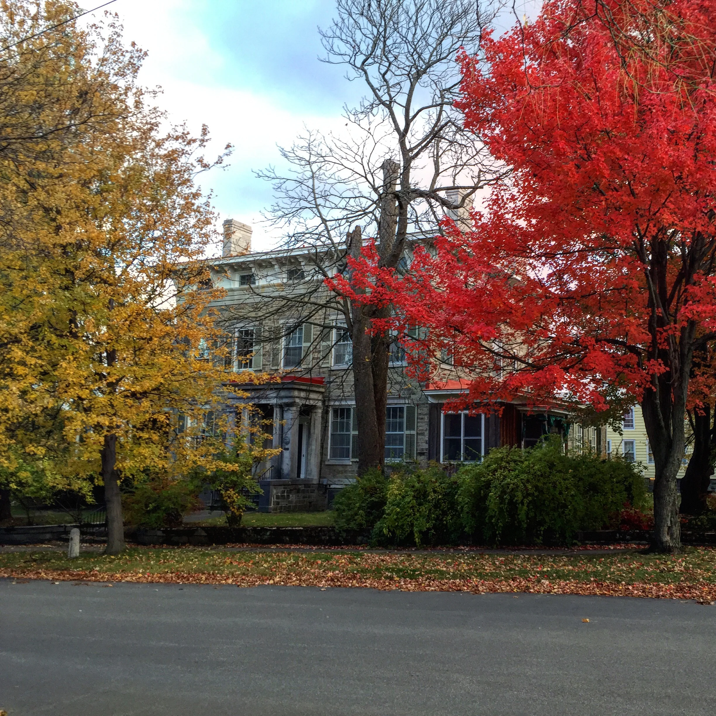 2015-10-30 16.58.41.jpg