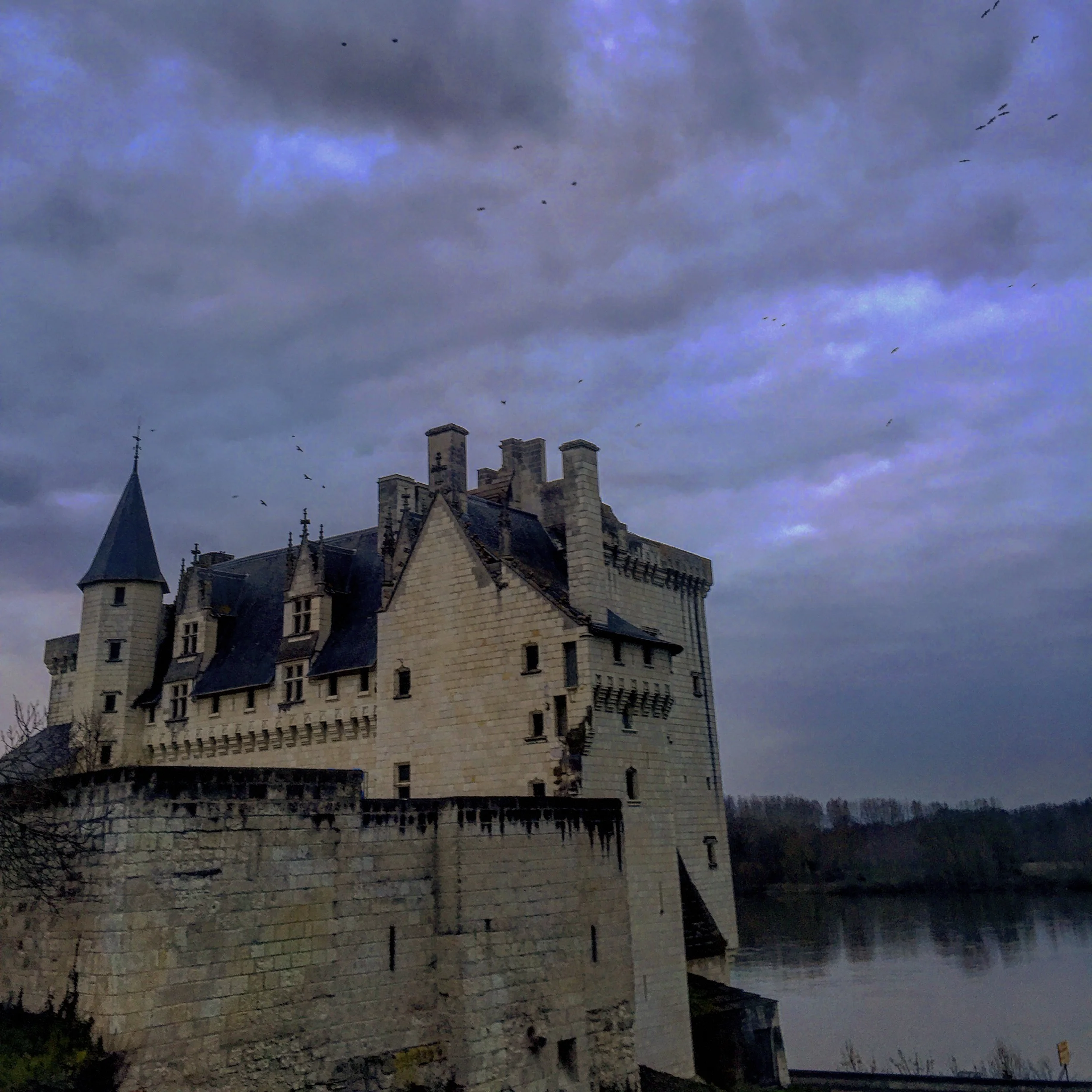 2016-03-16 18.42.04-2.jpg