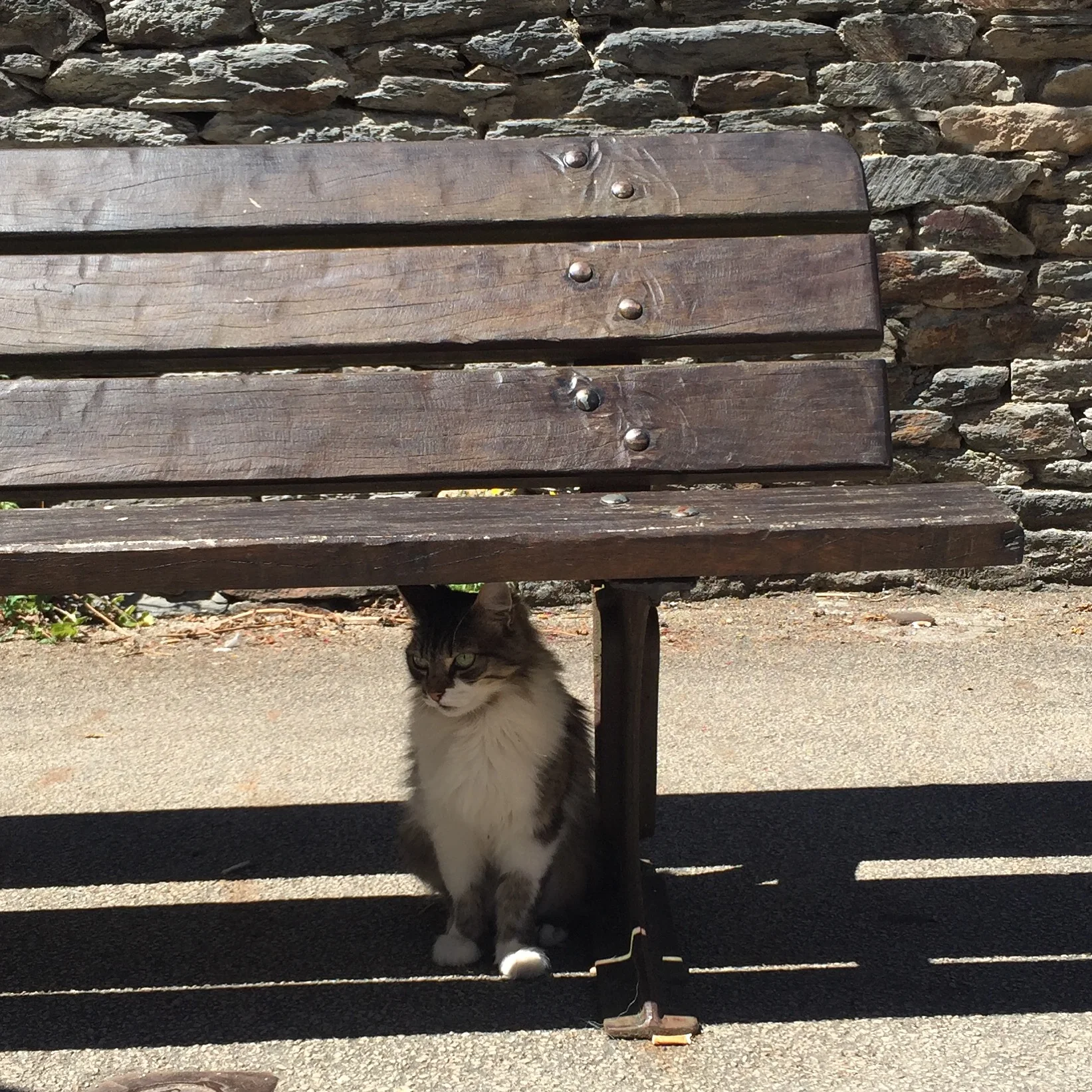 2016-07-15 16.02.17.jpg