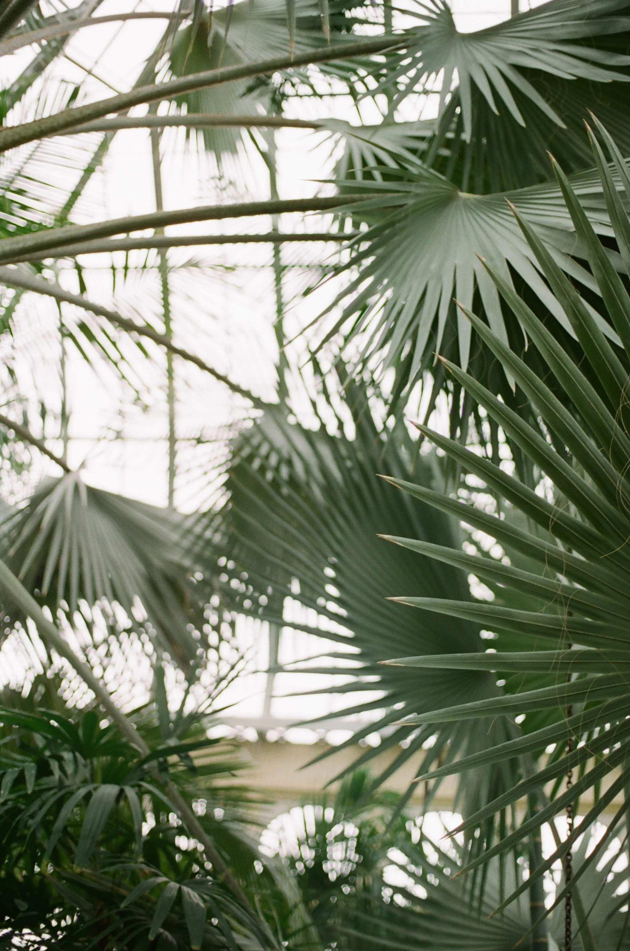 Stacy_Bauer_Photography_Steel_Cut_Flowers_Tropical_Bouquet_photo-01.jpg