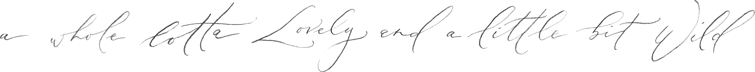 Steelcut_Lovely and Wild Quote_Script.png