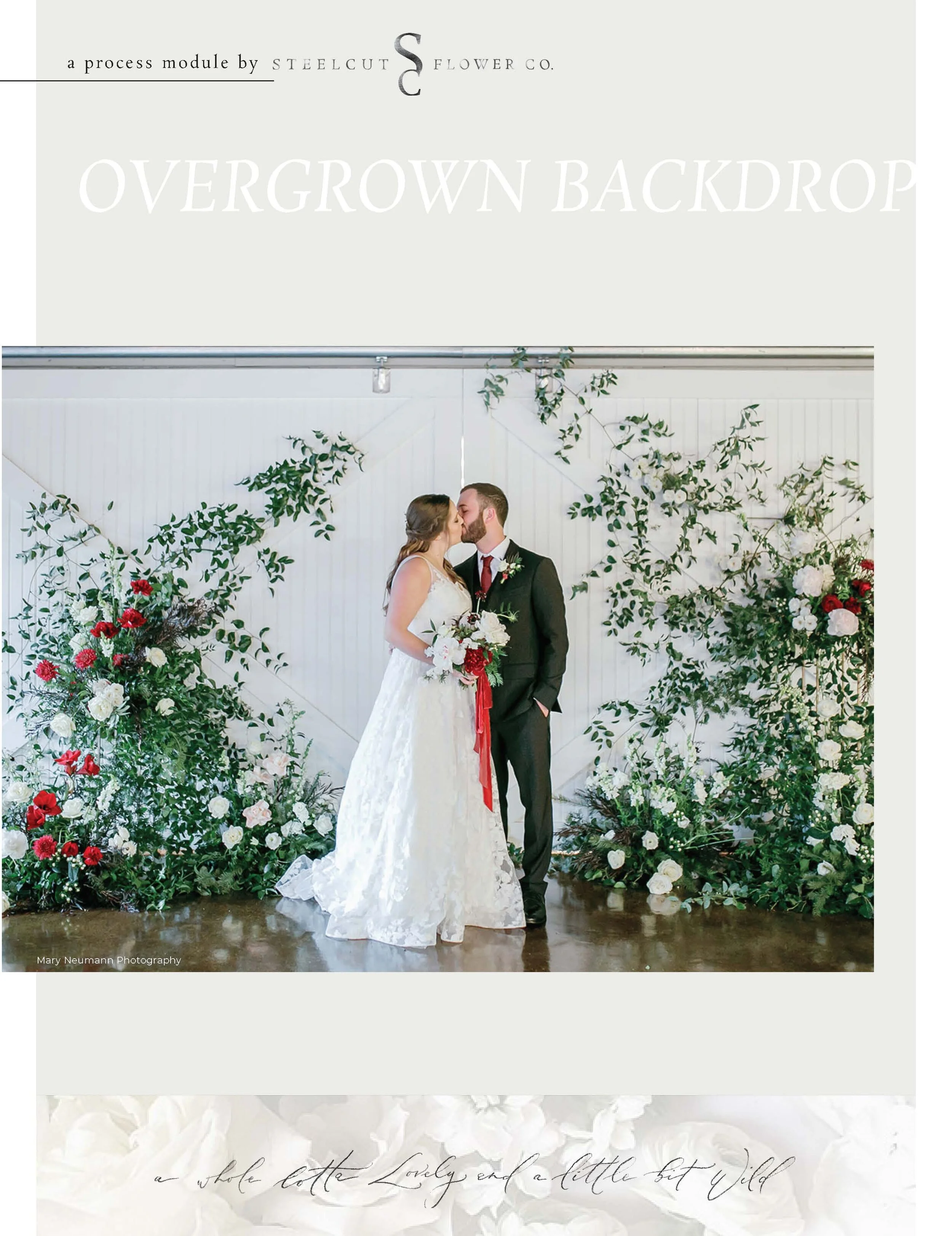 Pages from SC- GW_ADV- Overgrown Backdrop (1).jpg