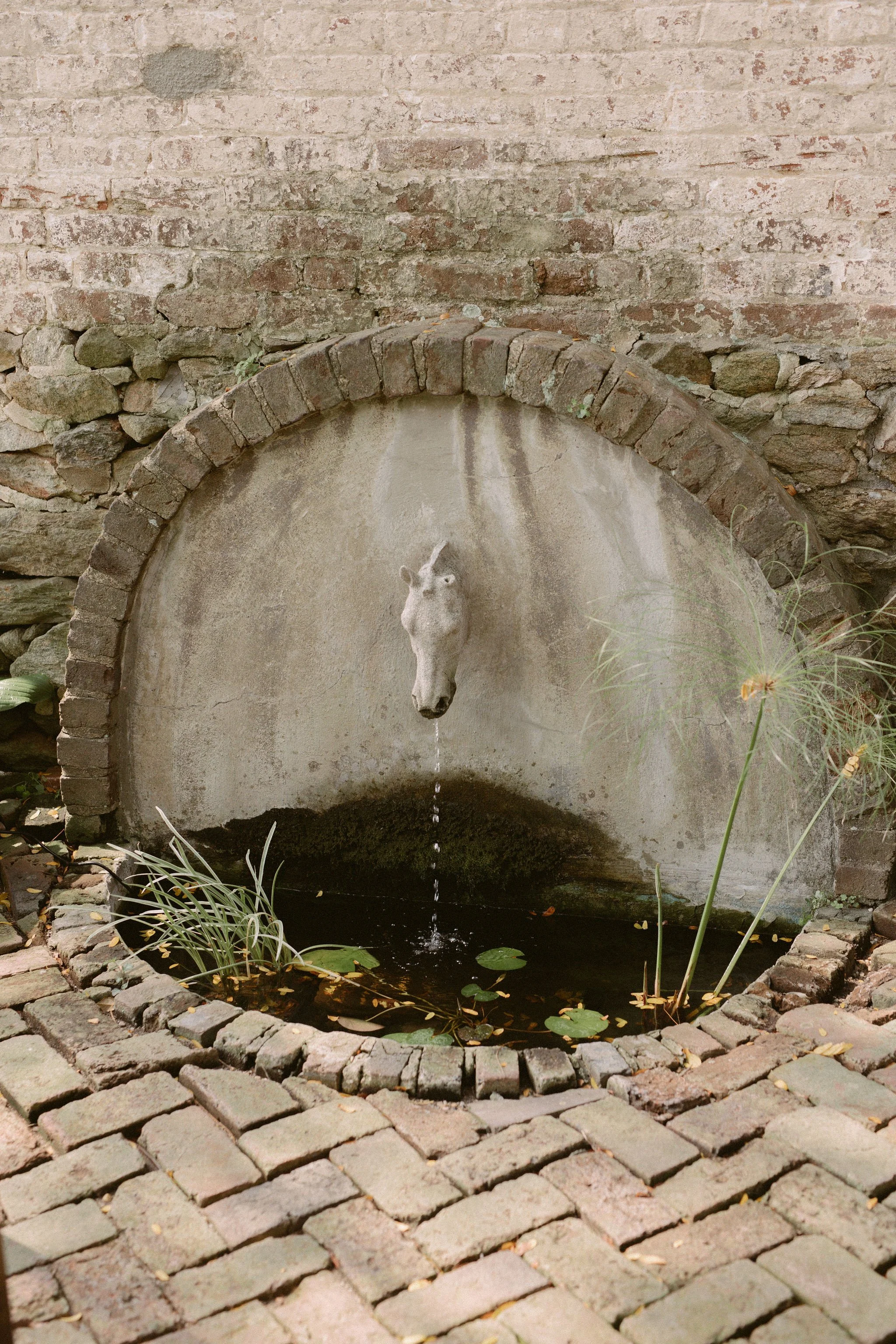 equestrian Inspired Wedding at The Red Fox Inn &amp; Tavern in Middleburg, V (Copy)