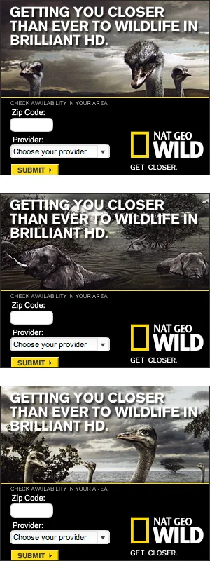 NatGeo_ad300x250_all.jpg