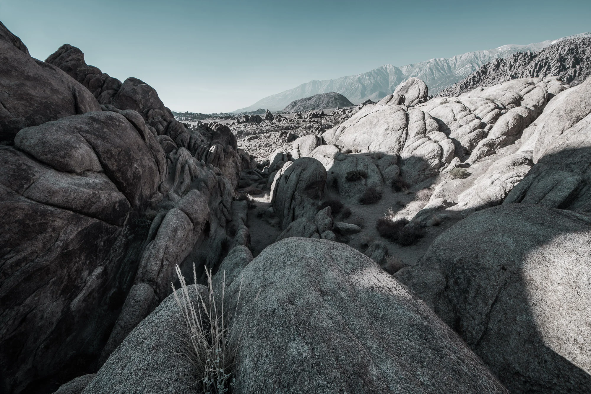 _BLK3665-HDR_bk site-2.jpg