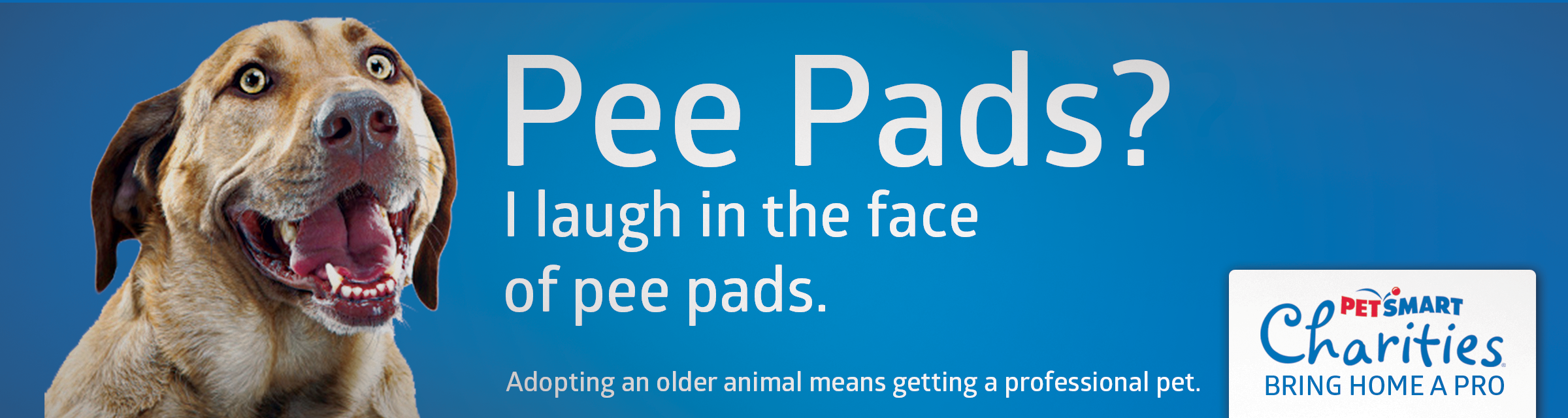 petsmart_peepad.png