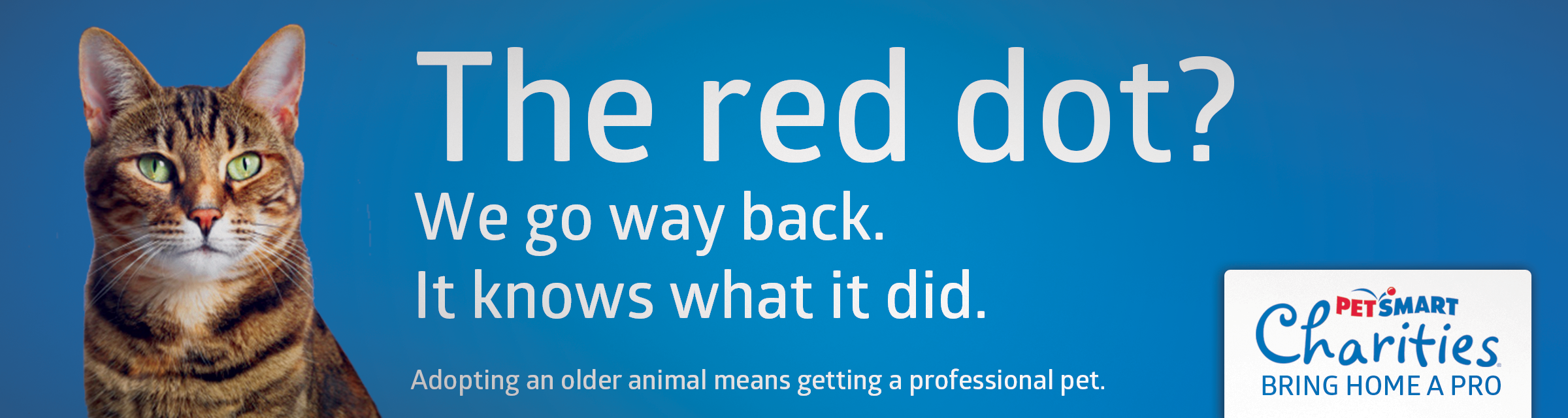 petsmart_reddot.png