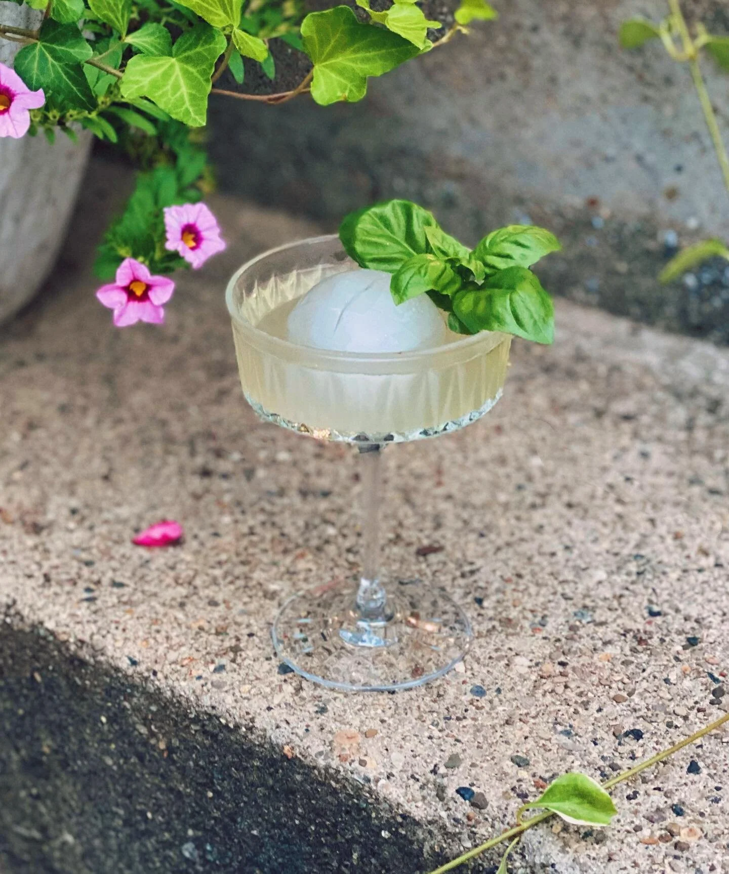 Spicy basil perfection

#recess #indysummer #cocktails #indy #makeitnice