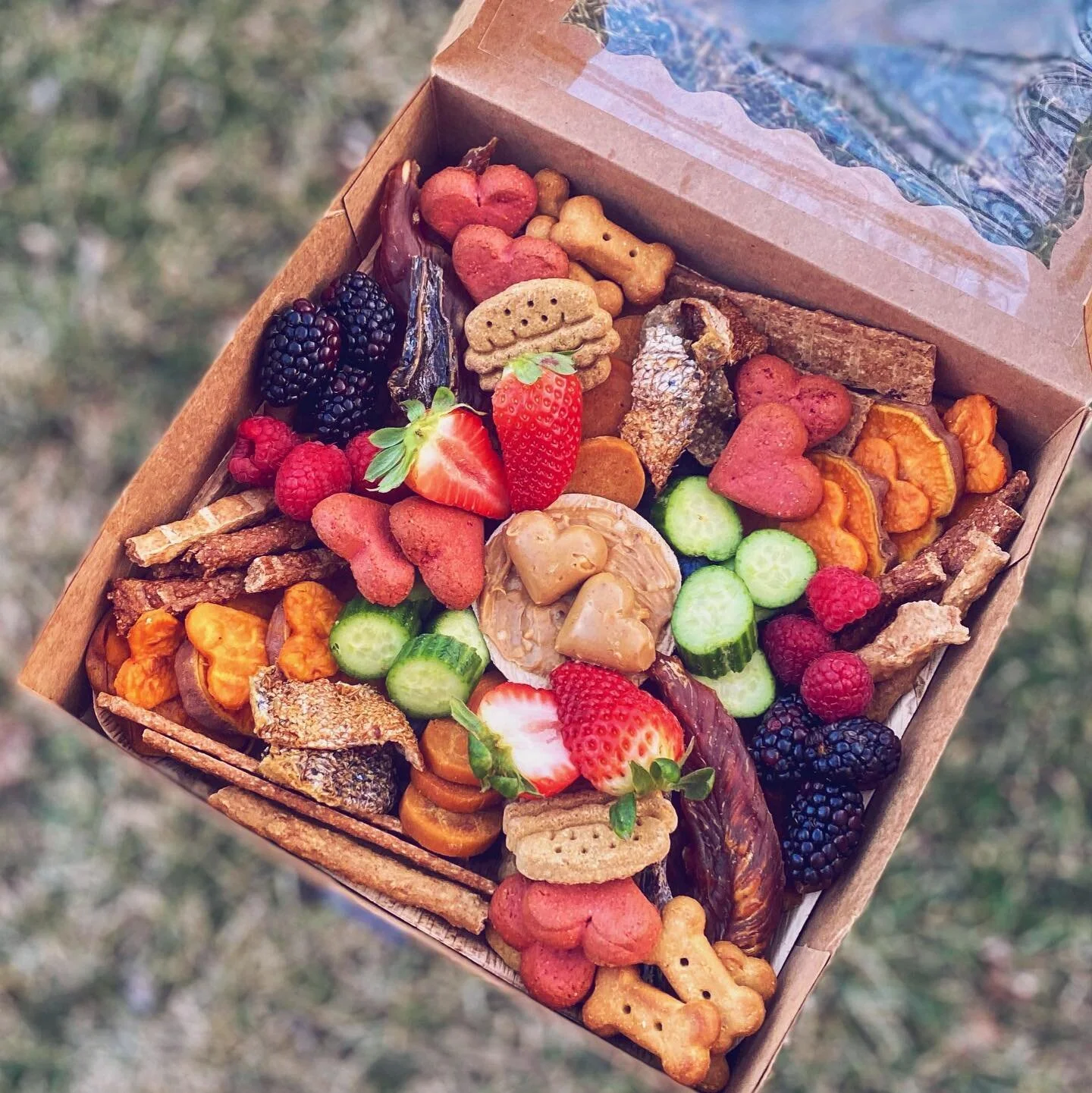 Can&rsquo;t stop. Won&rsquo;t stop. #barkuterie 🐾