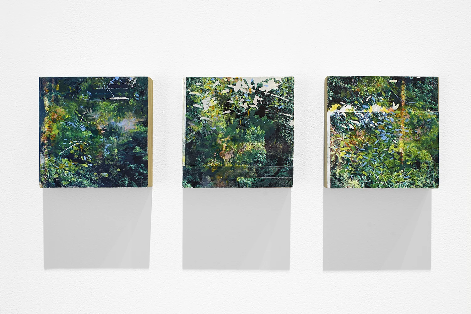 Property Line I, 2018