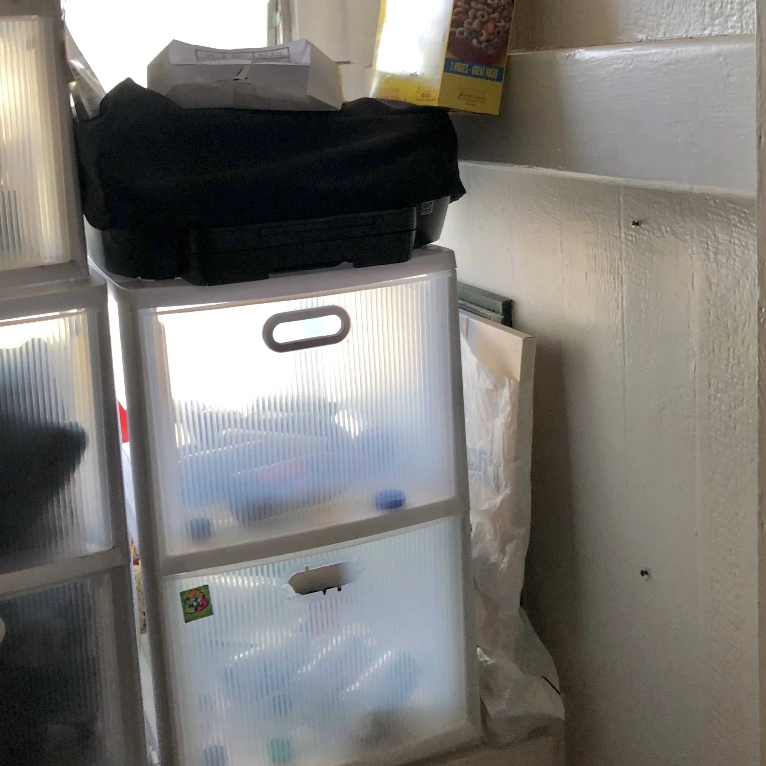 Jill uses frosted plastic storage bins to sort out the recycling in their home. Which then becomes extra spending money for her youngest tween daughter when she takes it to the recycling center every week!