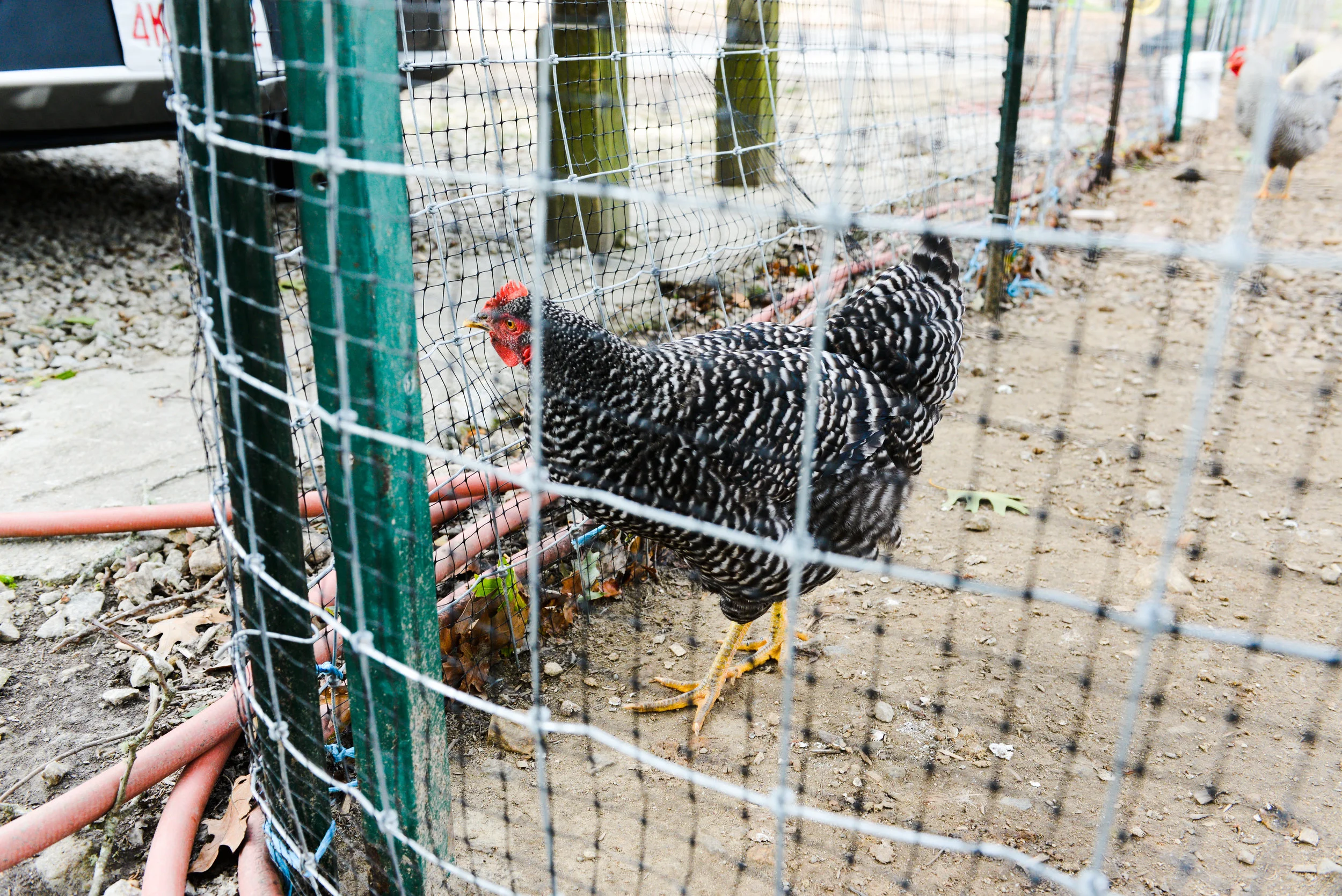 AKP-2302.jpg