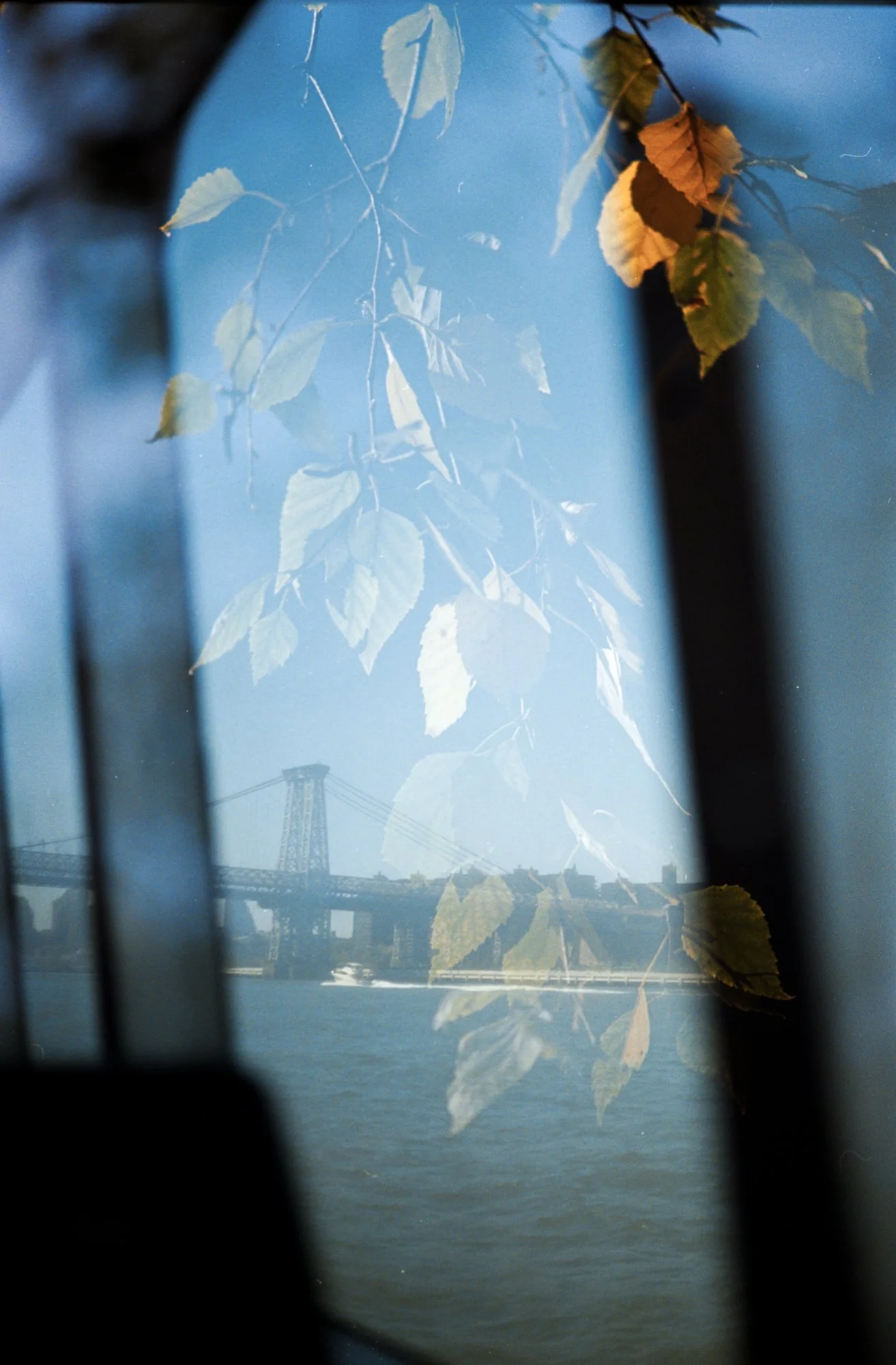 NY October 2026-10.jpg