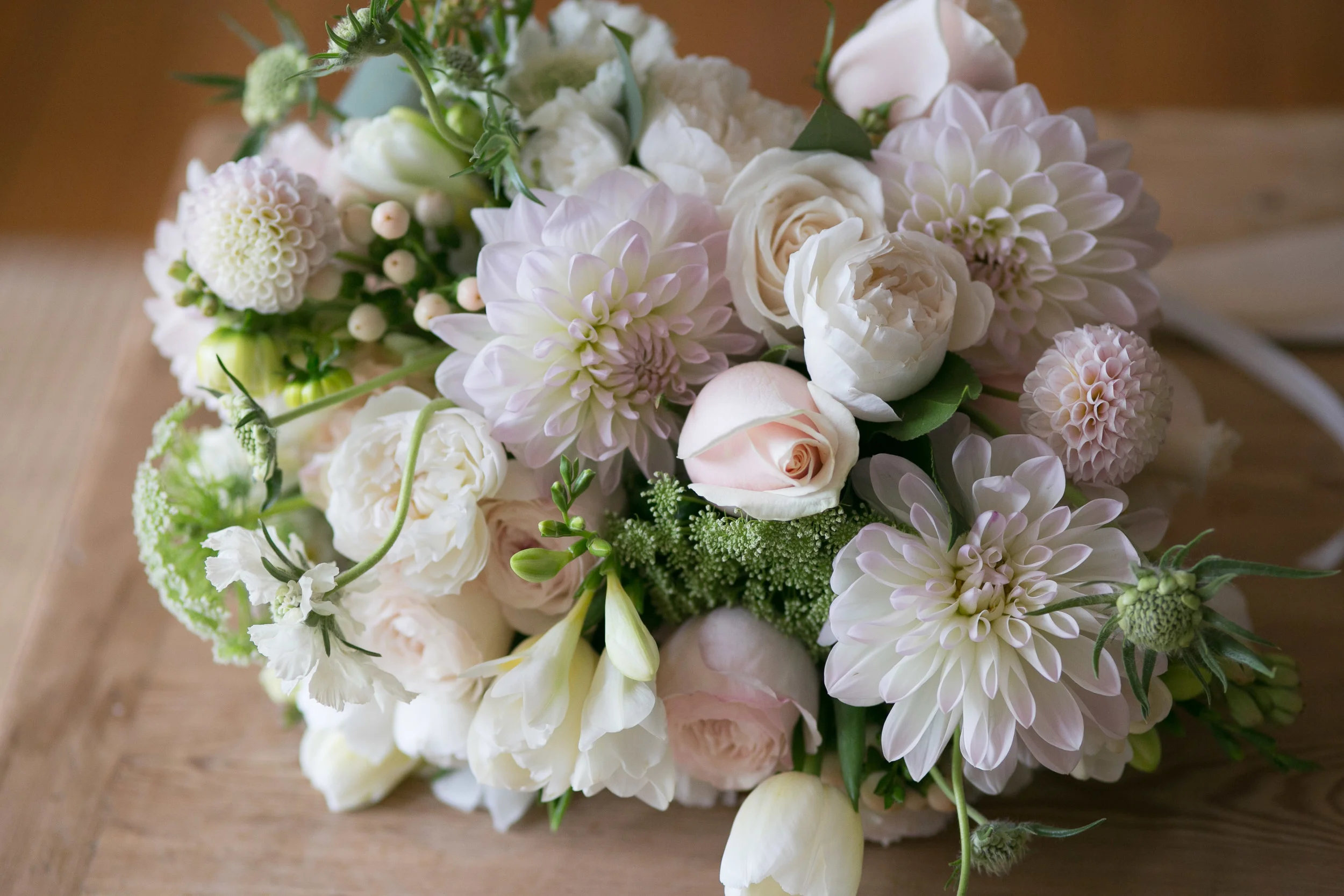  Blumenthal Photography 