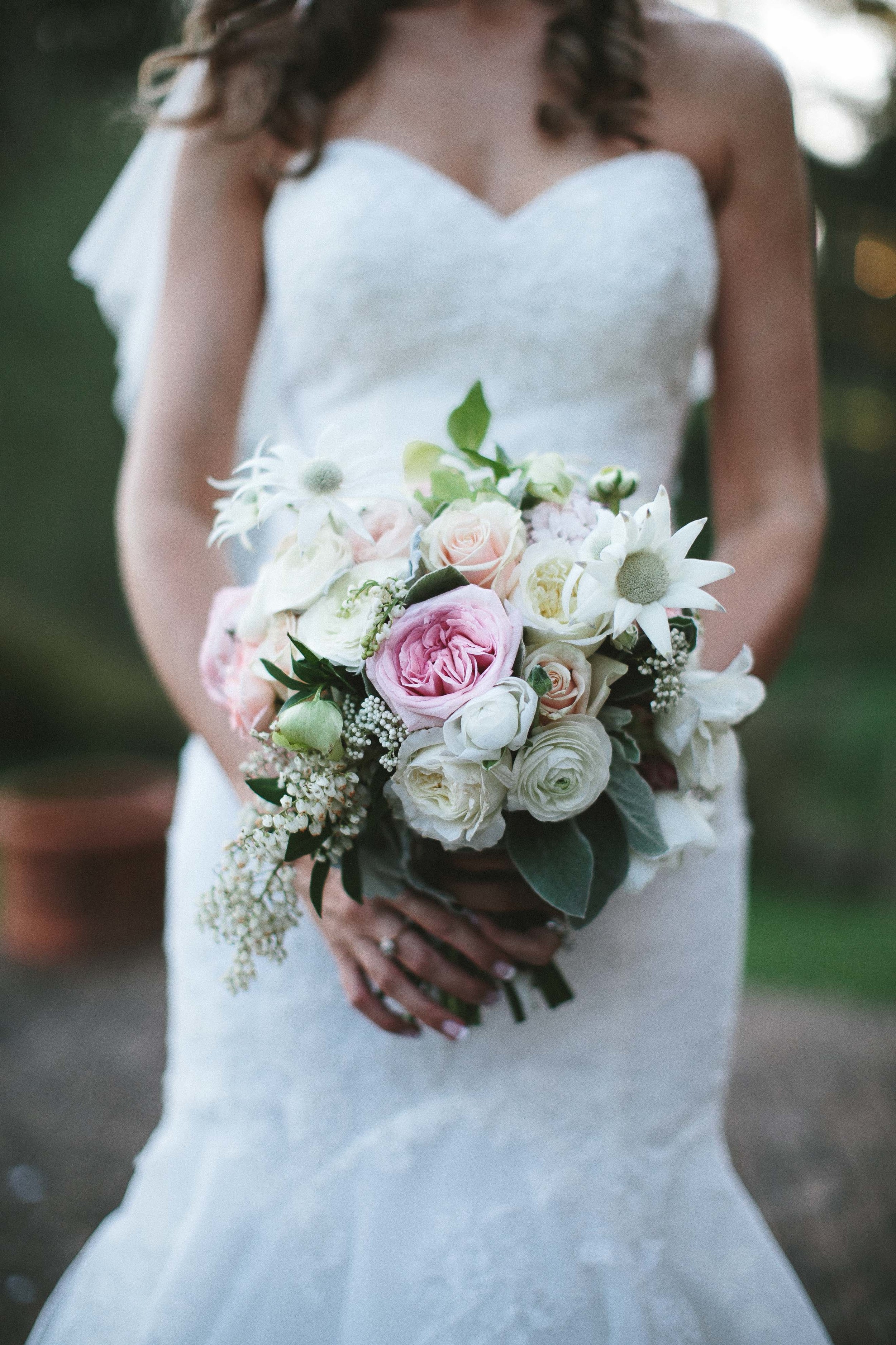  James Frost Photographic Services 