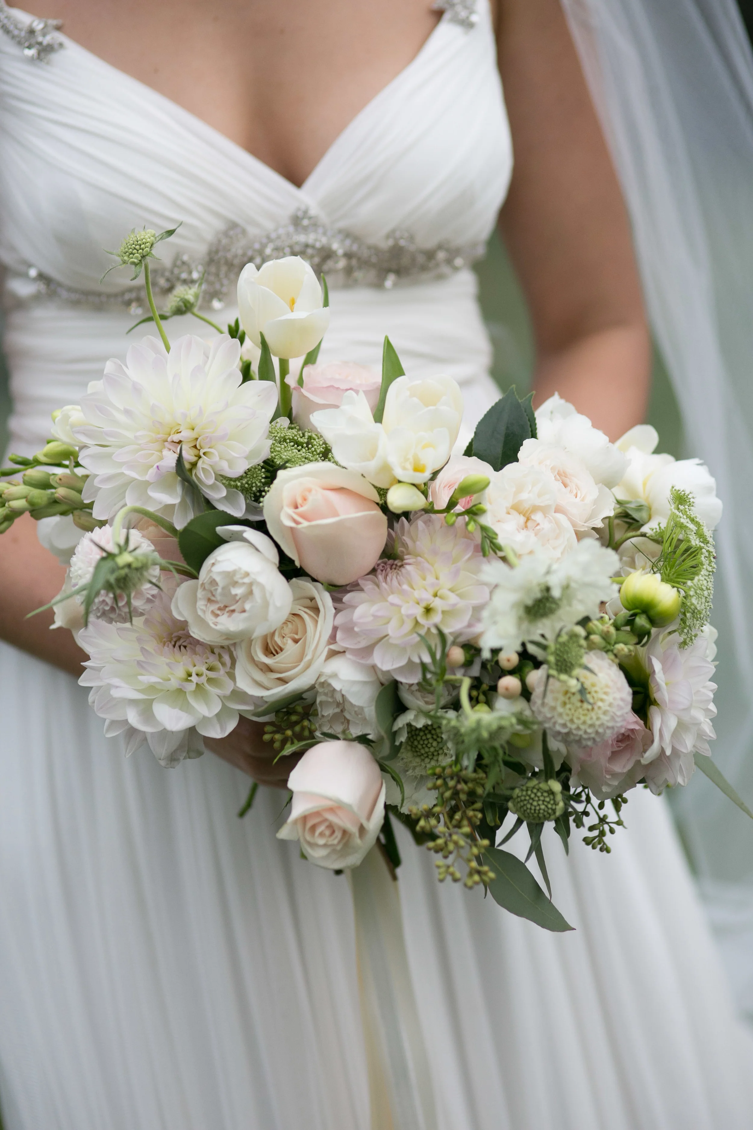  Blumenthal Photography 