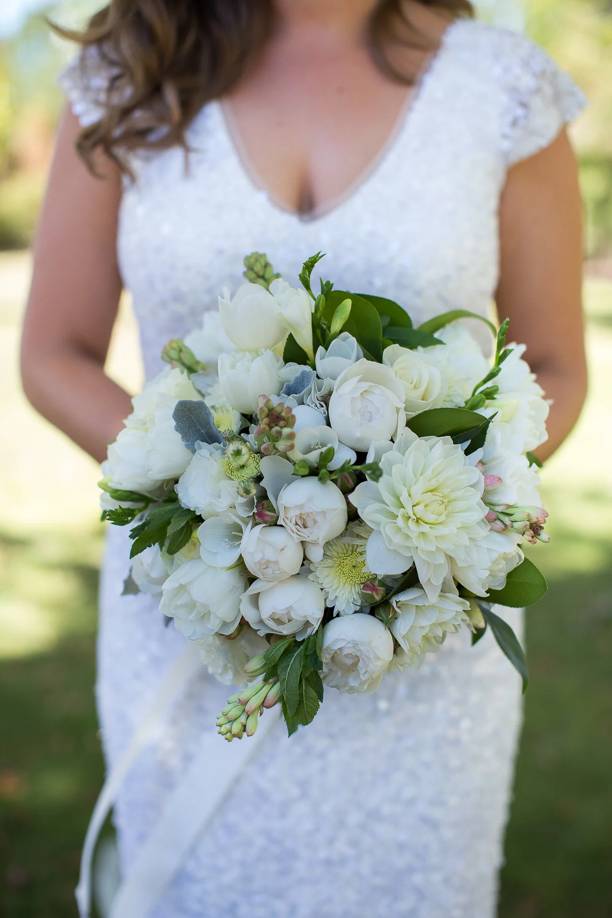  David Campbell Imagery 