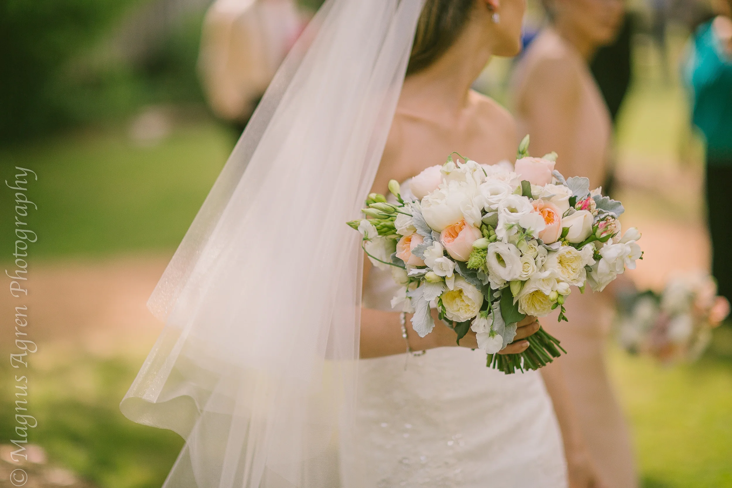  Magnus Agren Photography 