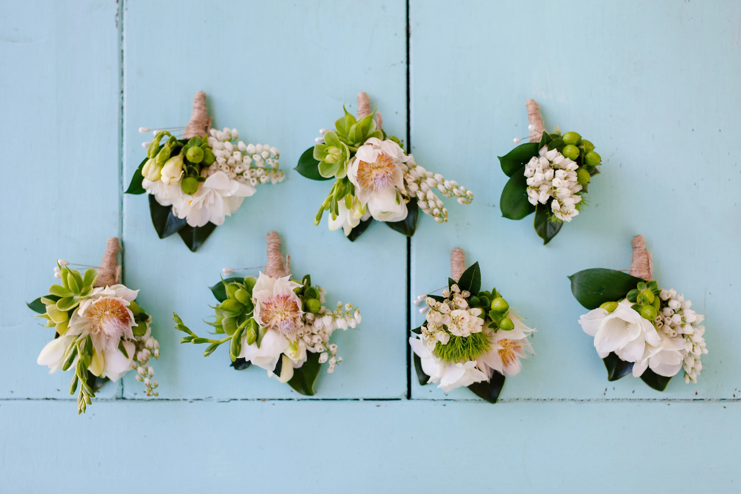 Hilary Cam Photography