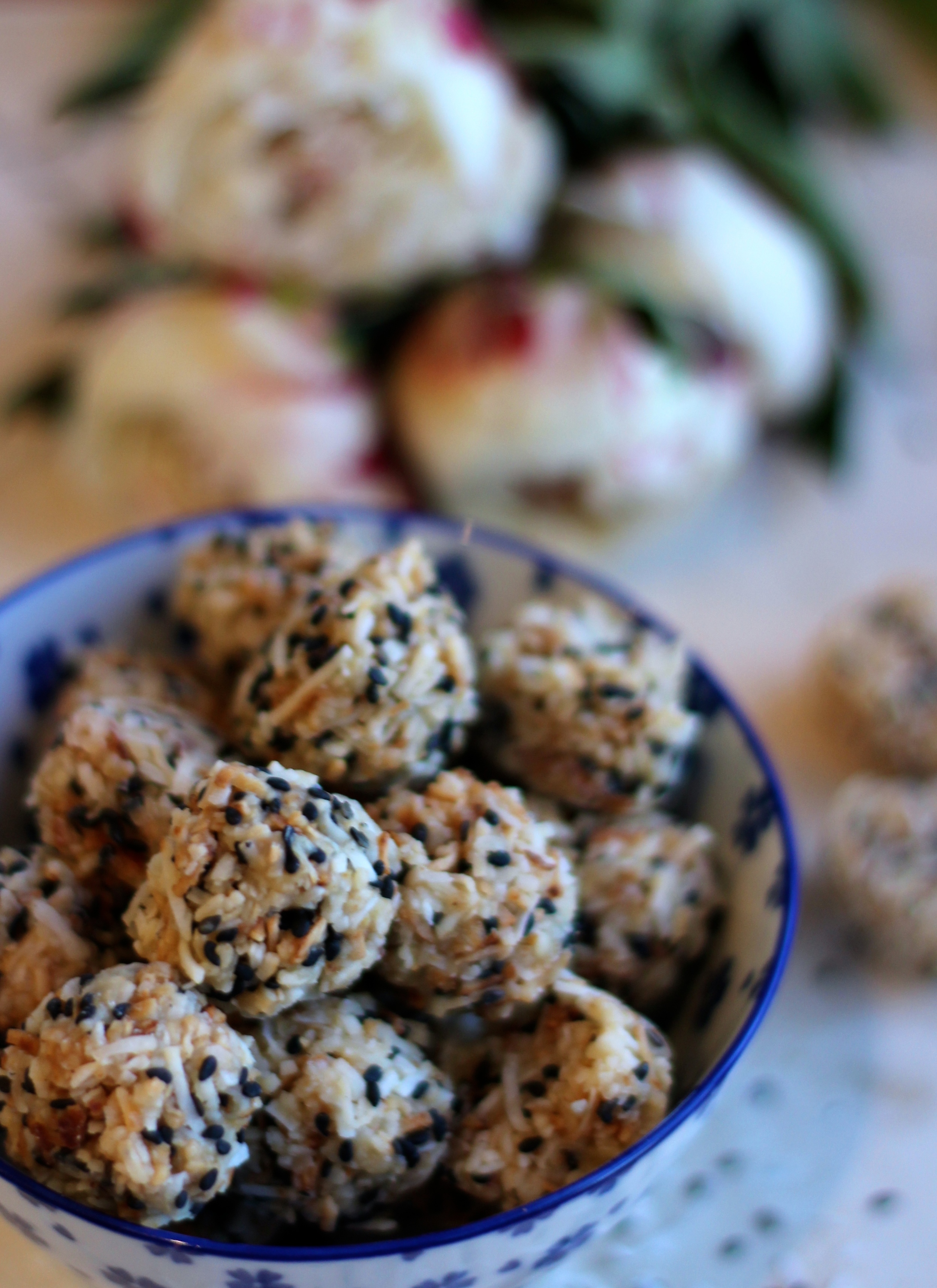 Toasted Coconut Balls