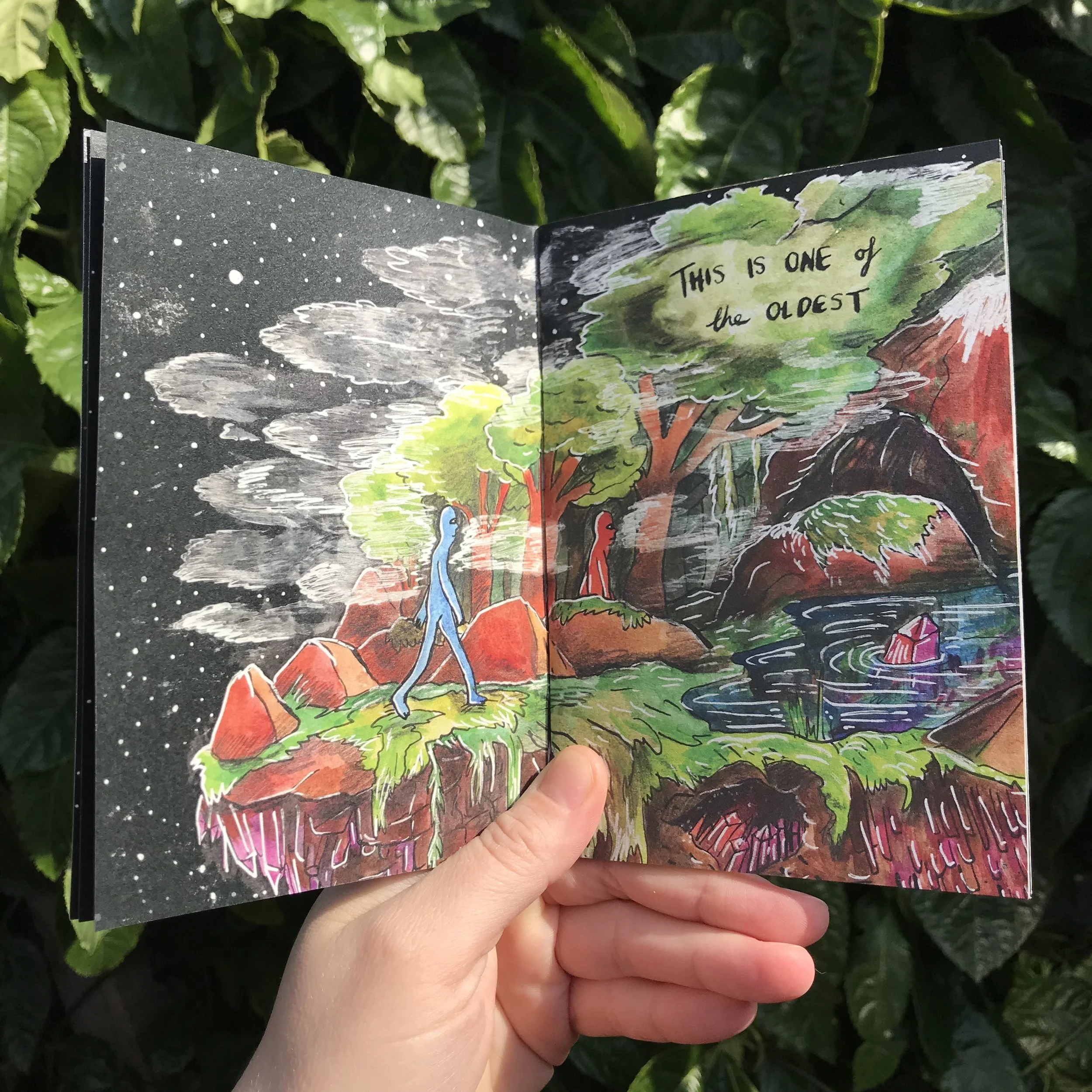 Buried Treasure 5.JPG