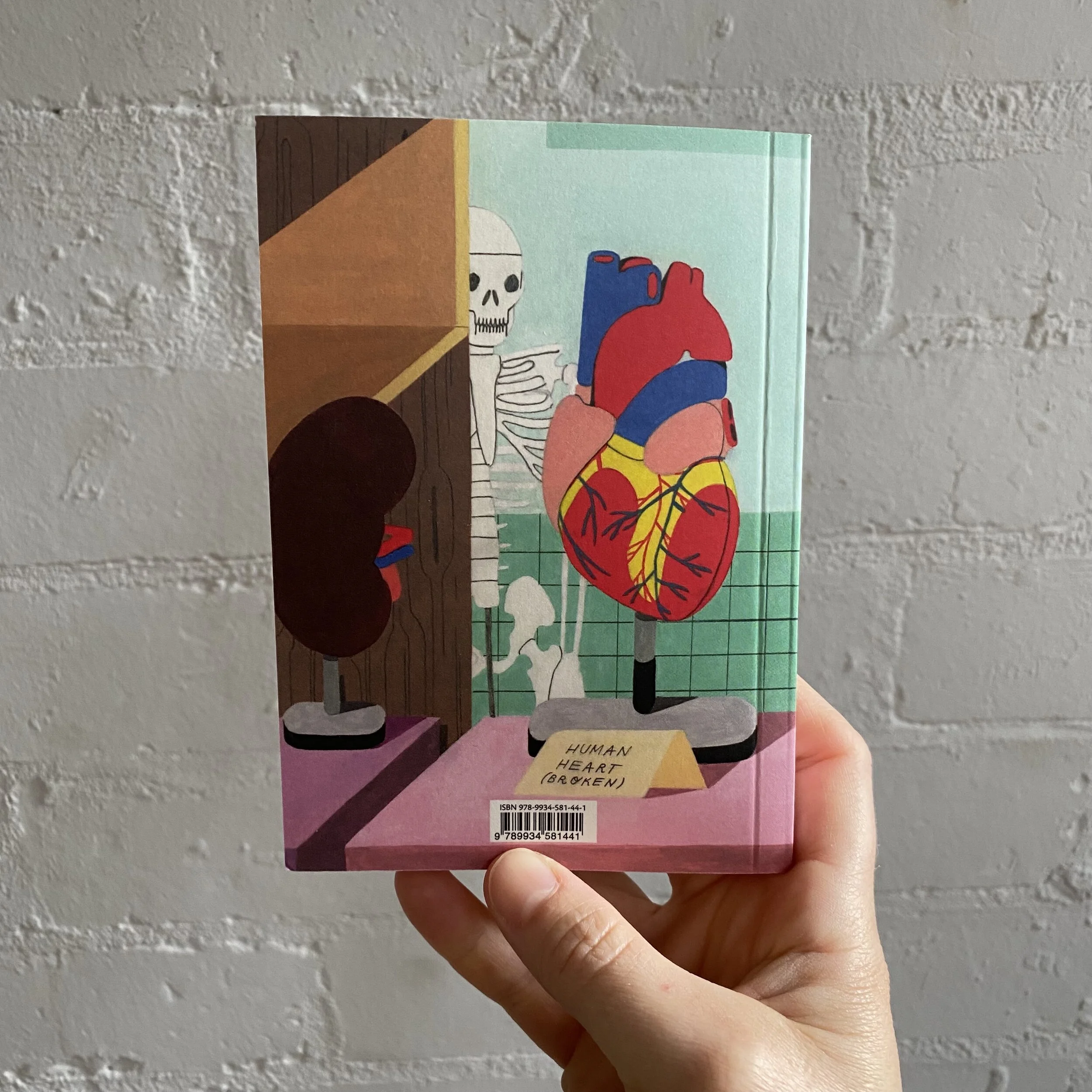 Kus 42 Scientific facts 8.jpeg