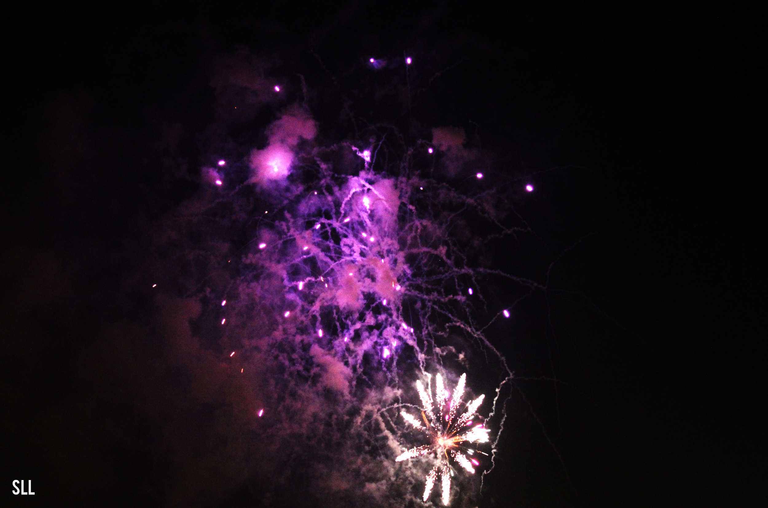 Firework(1).png