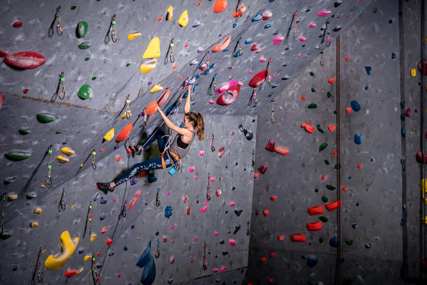 Rock Climb Fairfield Membership + College Break Deal