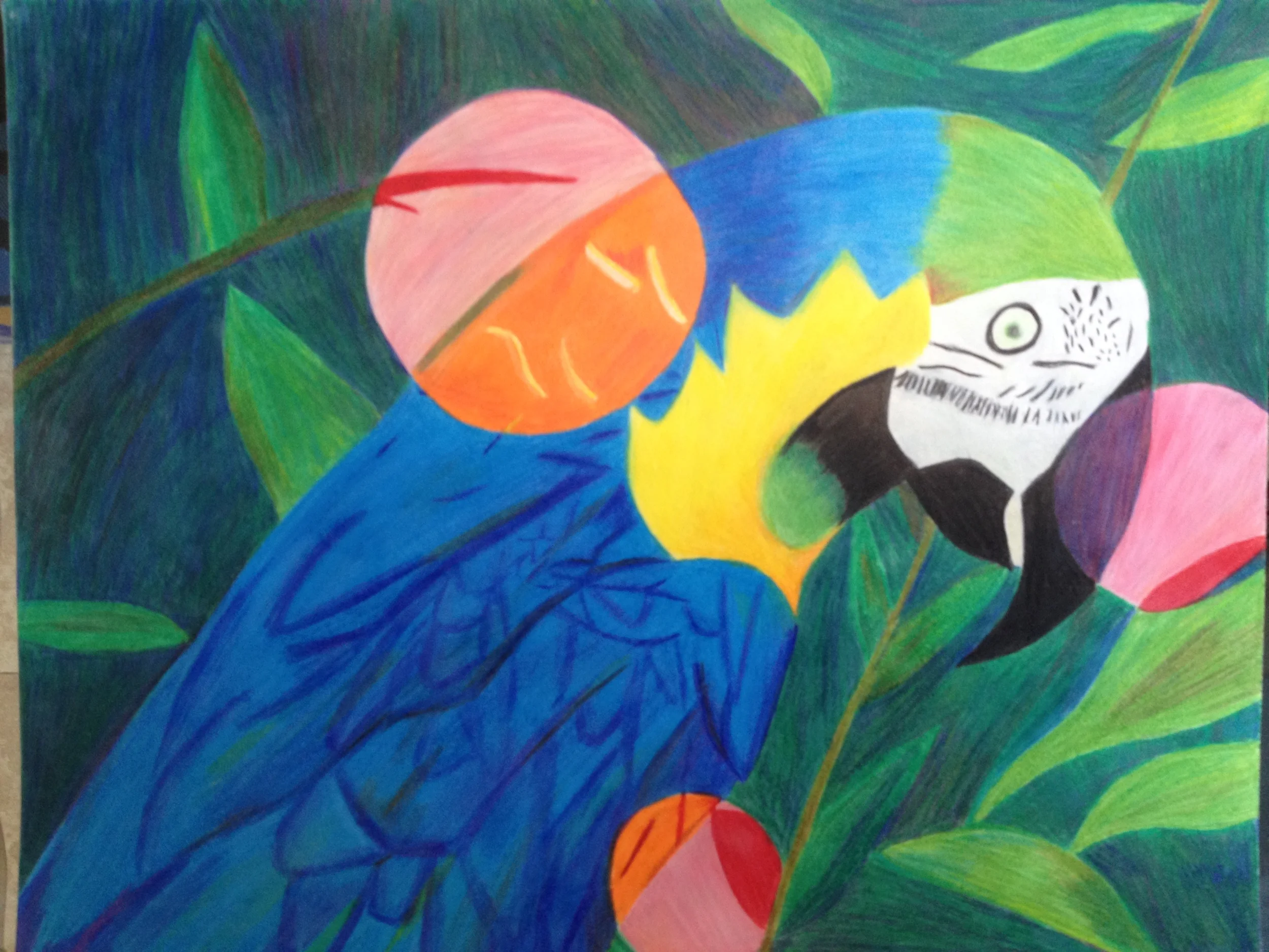 Lee's phone April 14 2014 240.JPG