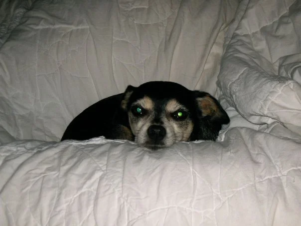 Rudy
